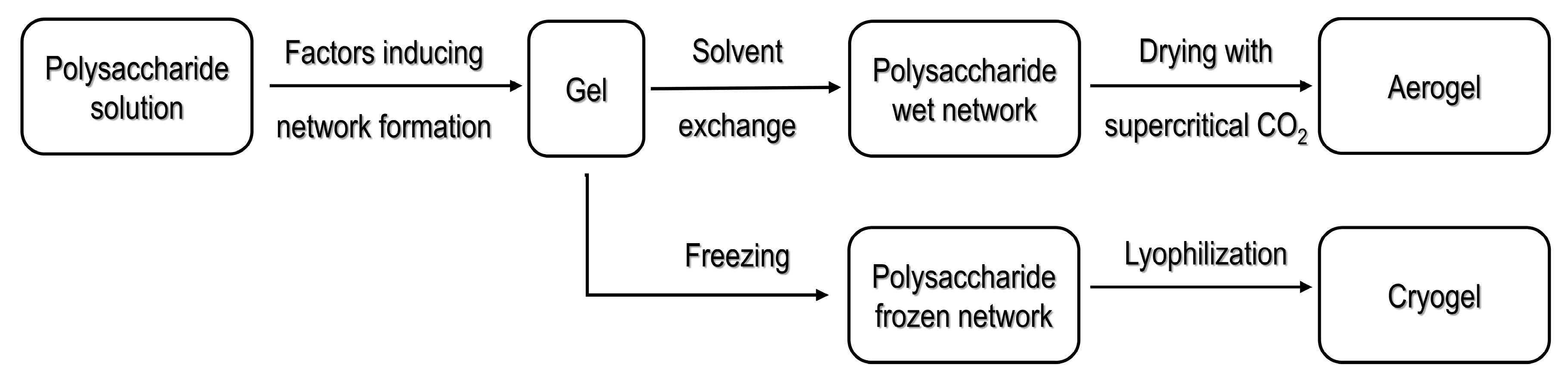Molecules 25 05286 g001
