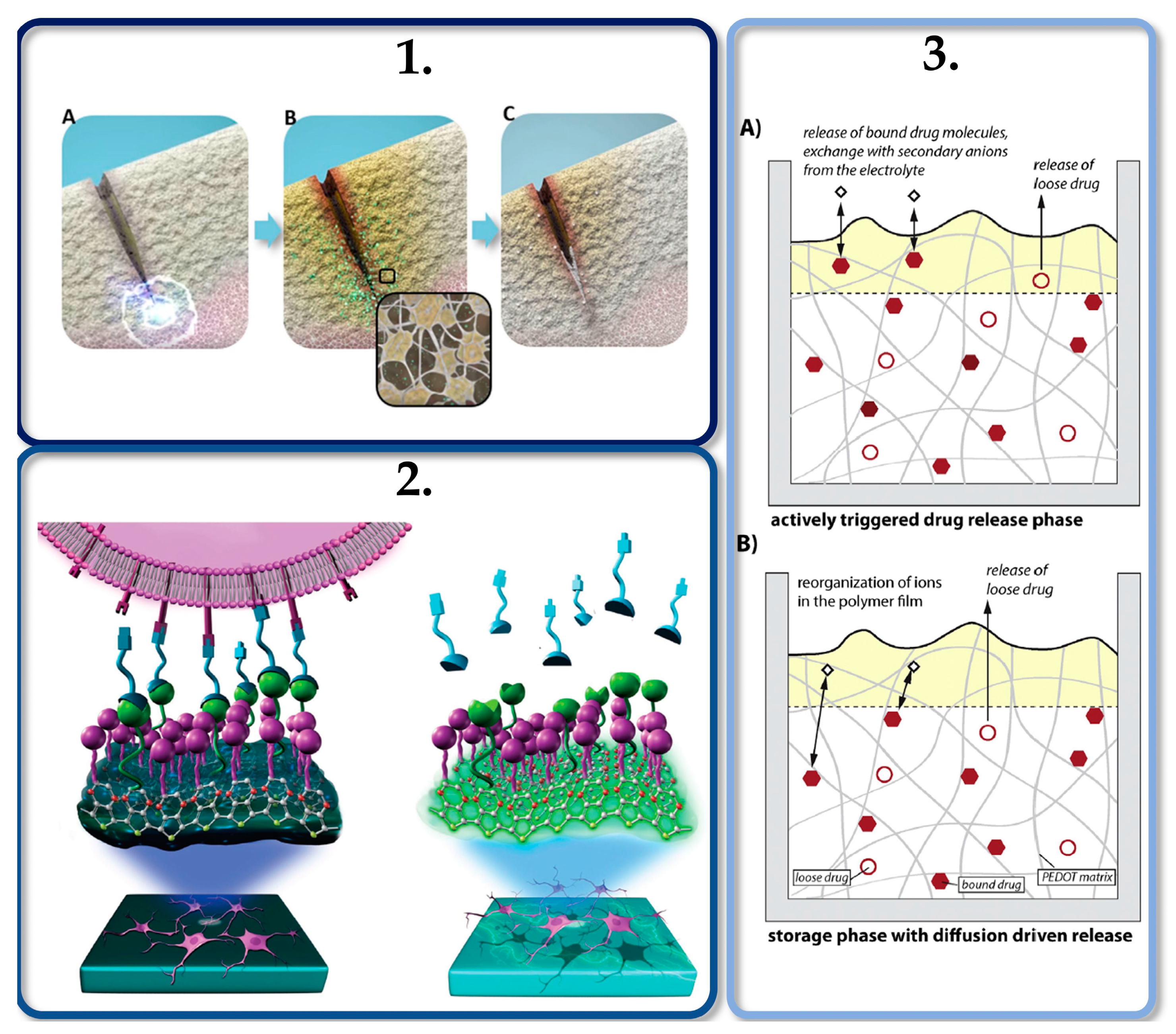Molecules 25 05286 g004