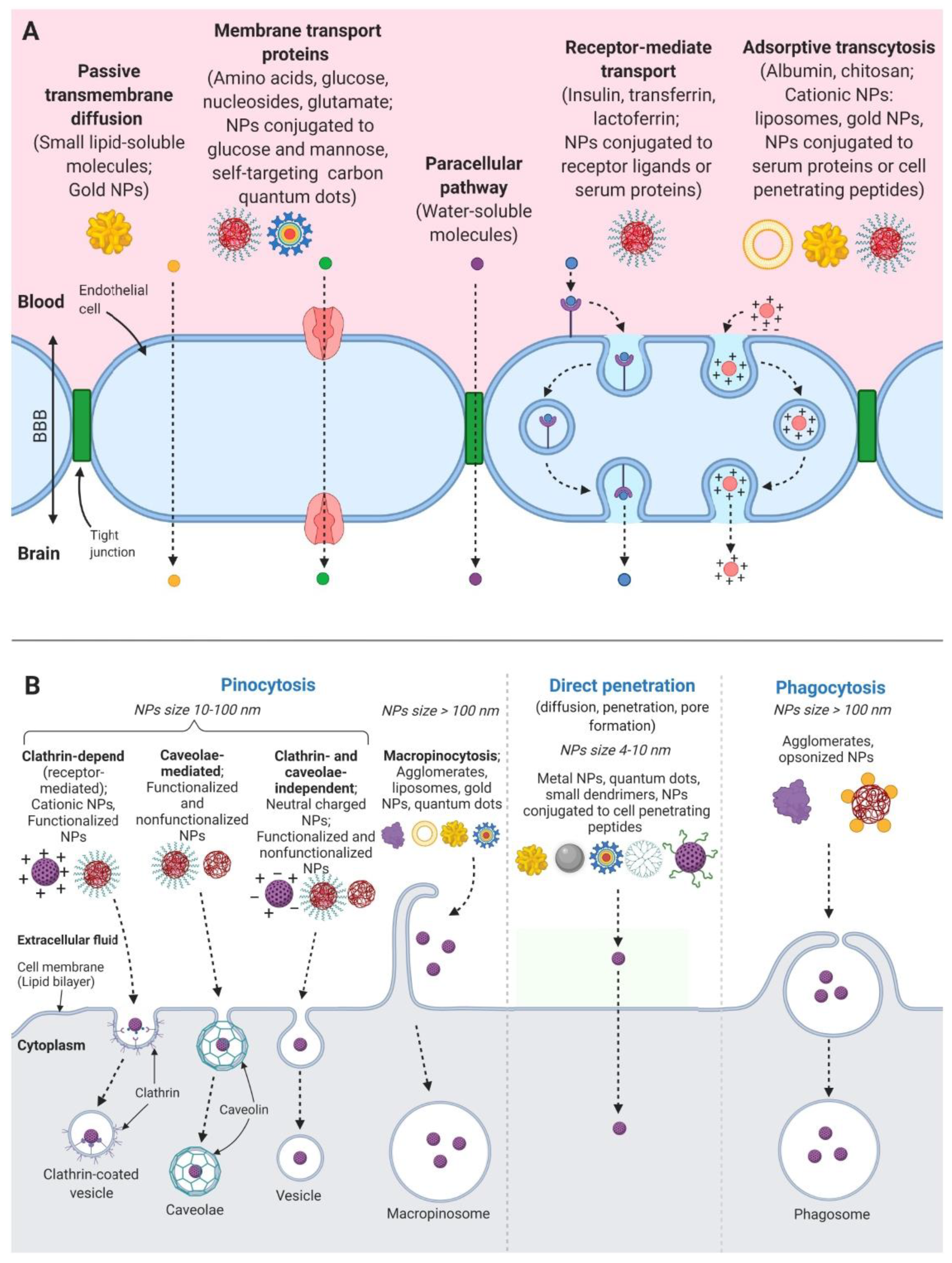 Molecules 25 05294 g001
