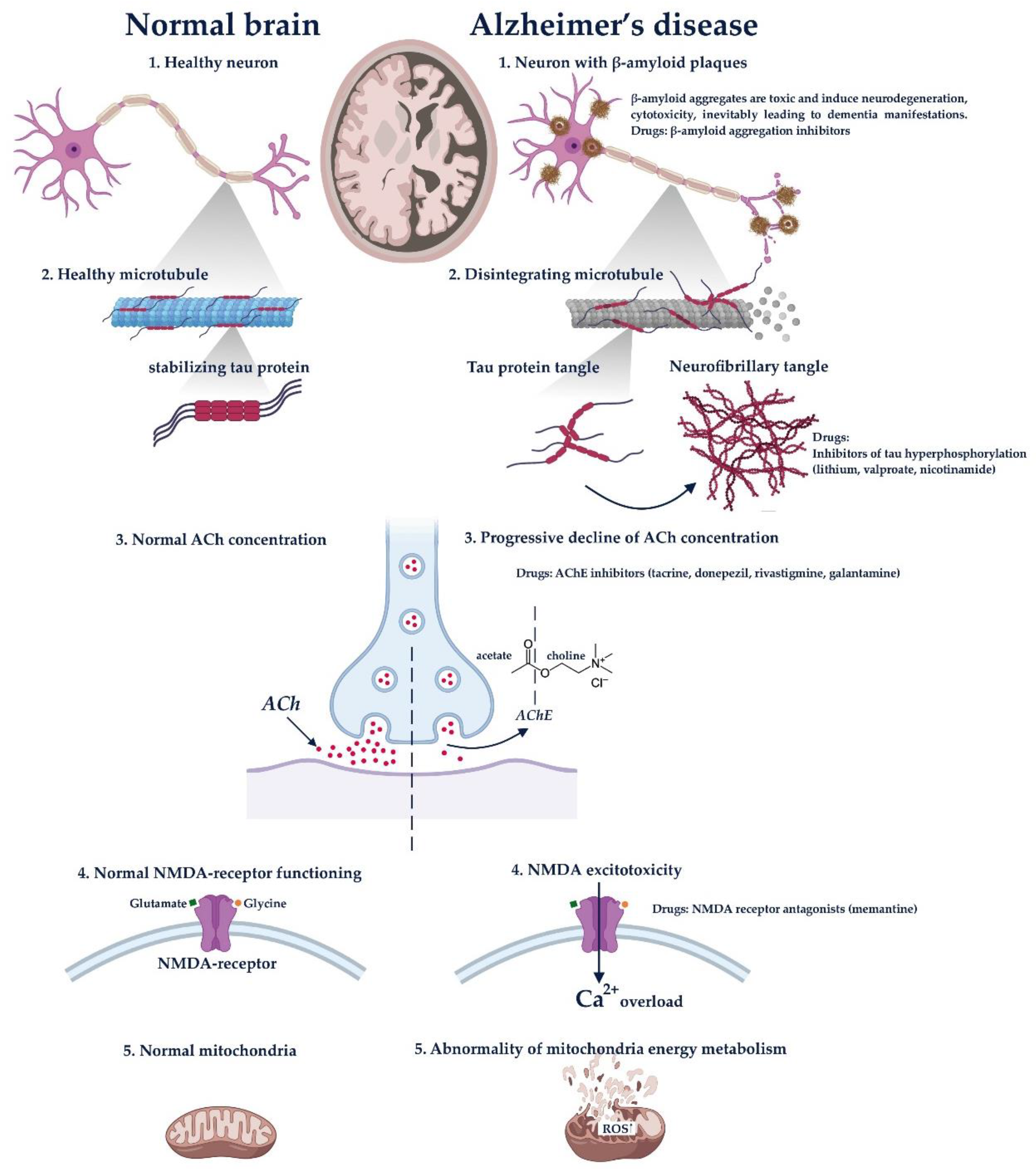 Molecules 25 05294 g002