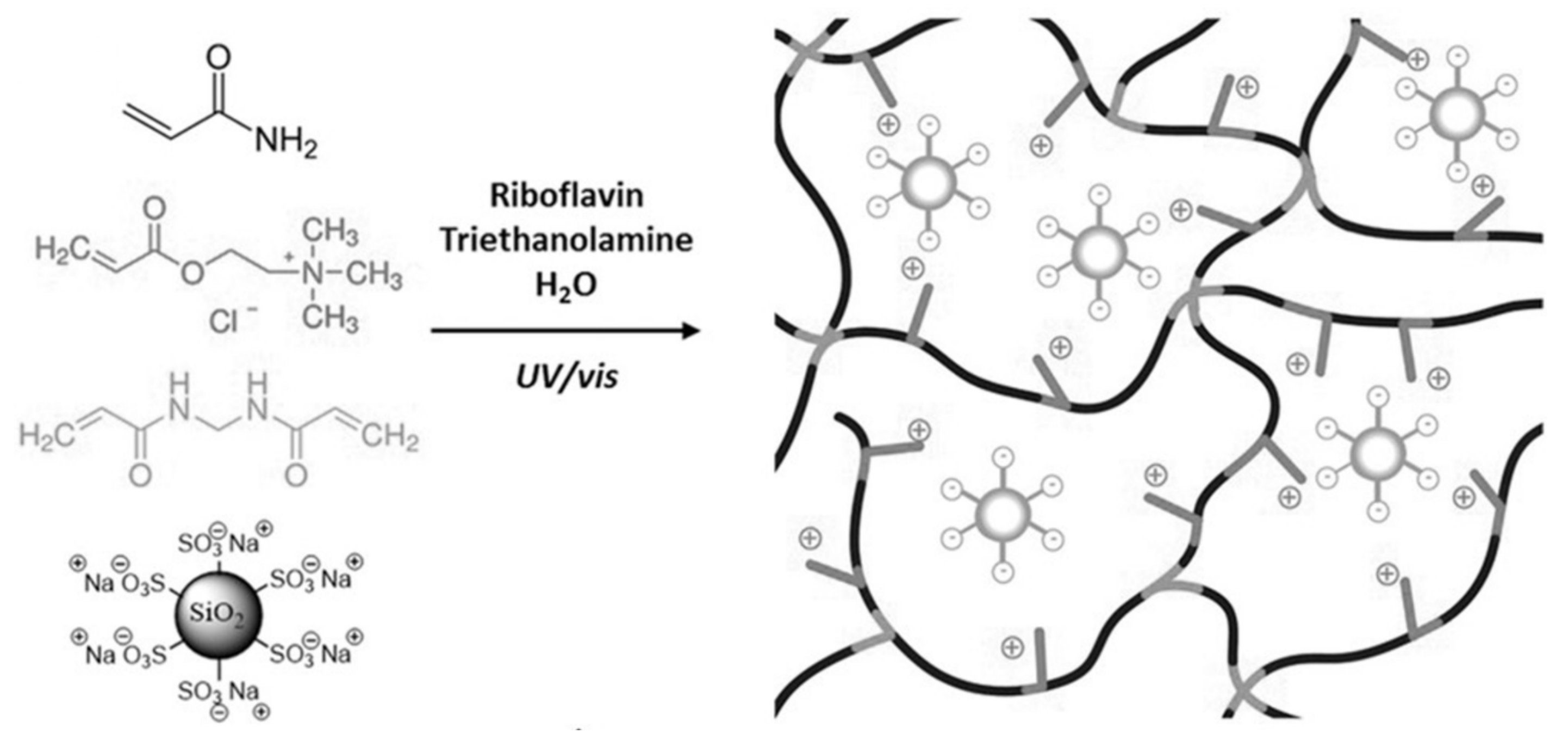 Molecules 25 05296 g005