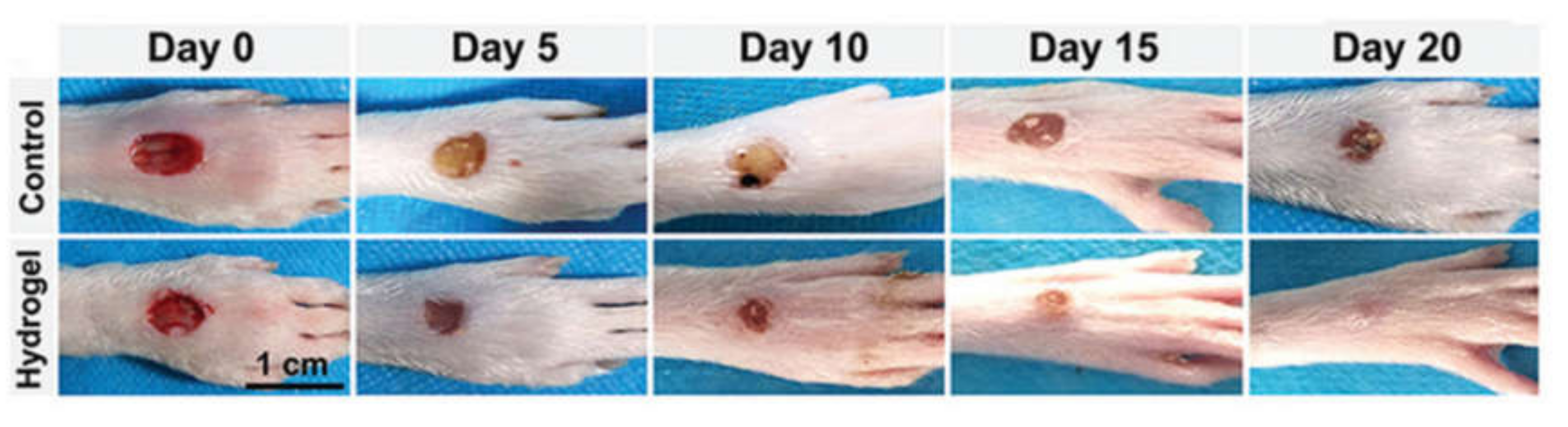 Molecules 25 05296 g008