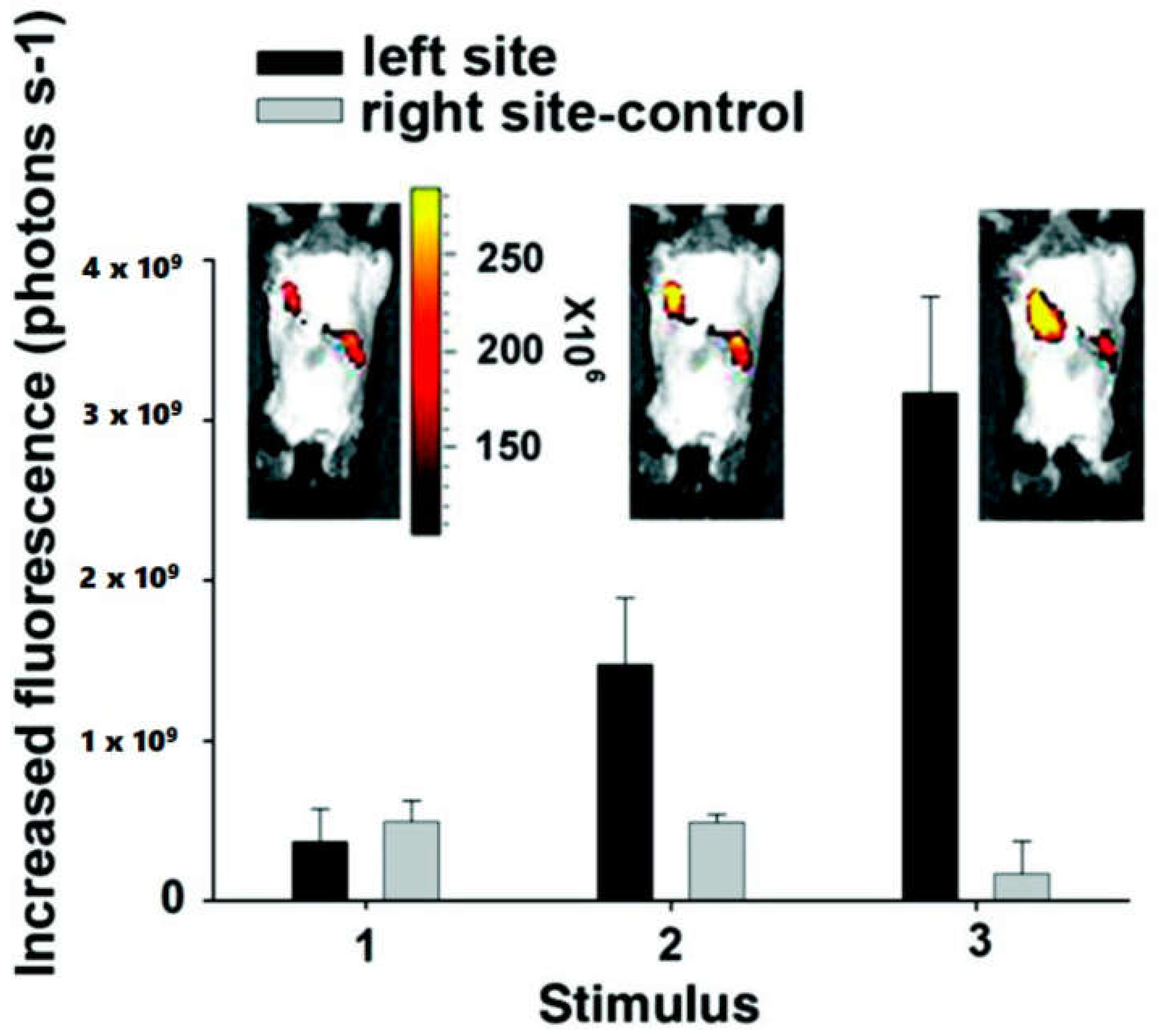Molecules 25 05296 g009