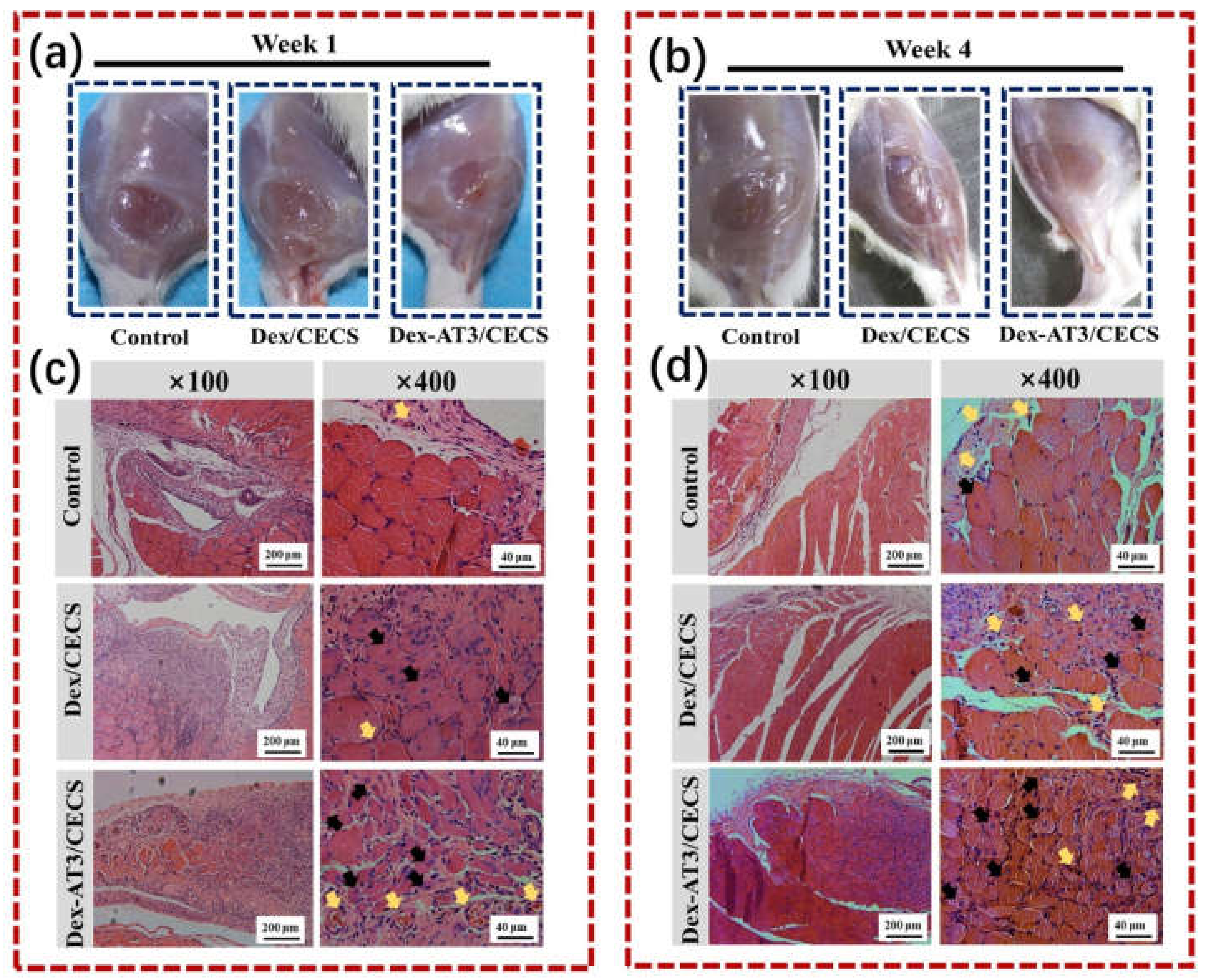 Molecules 25 05296 g010