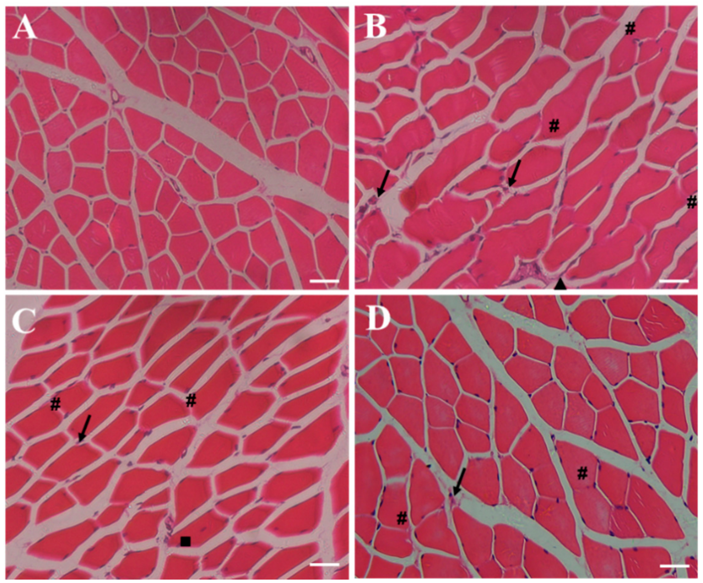 Molecules 25 05302 g005