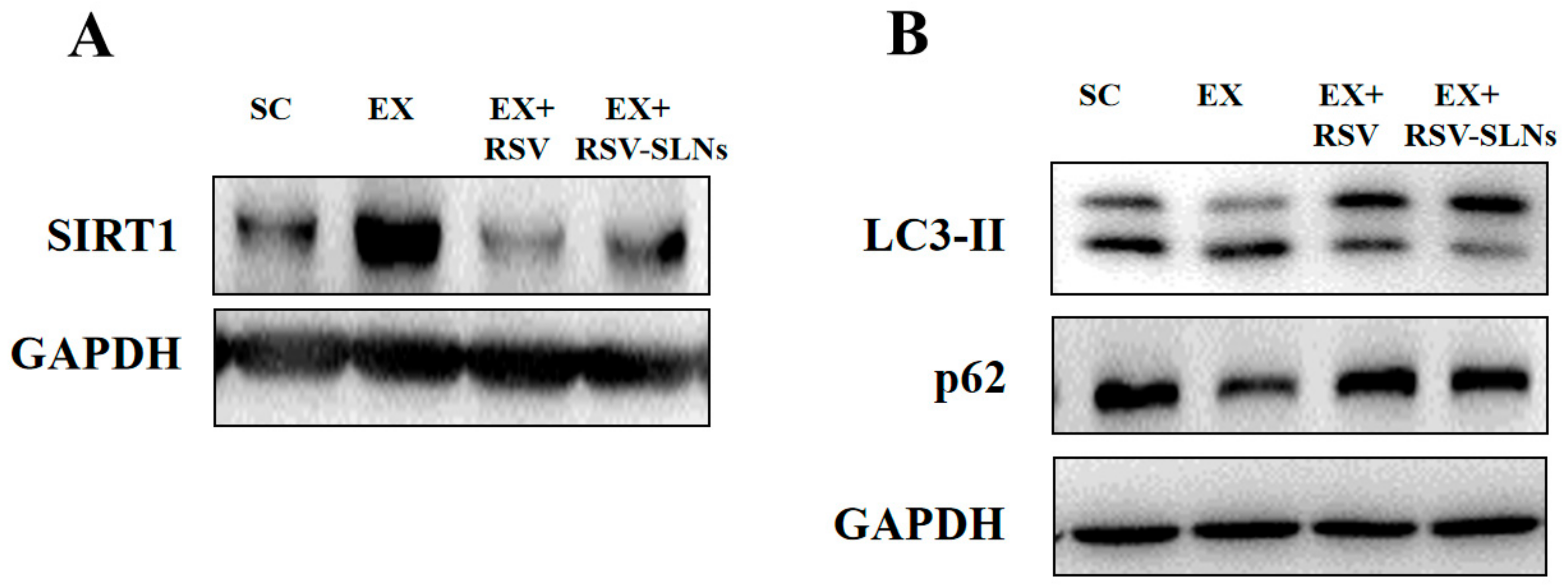 Molecules 25 05302 g008