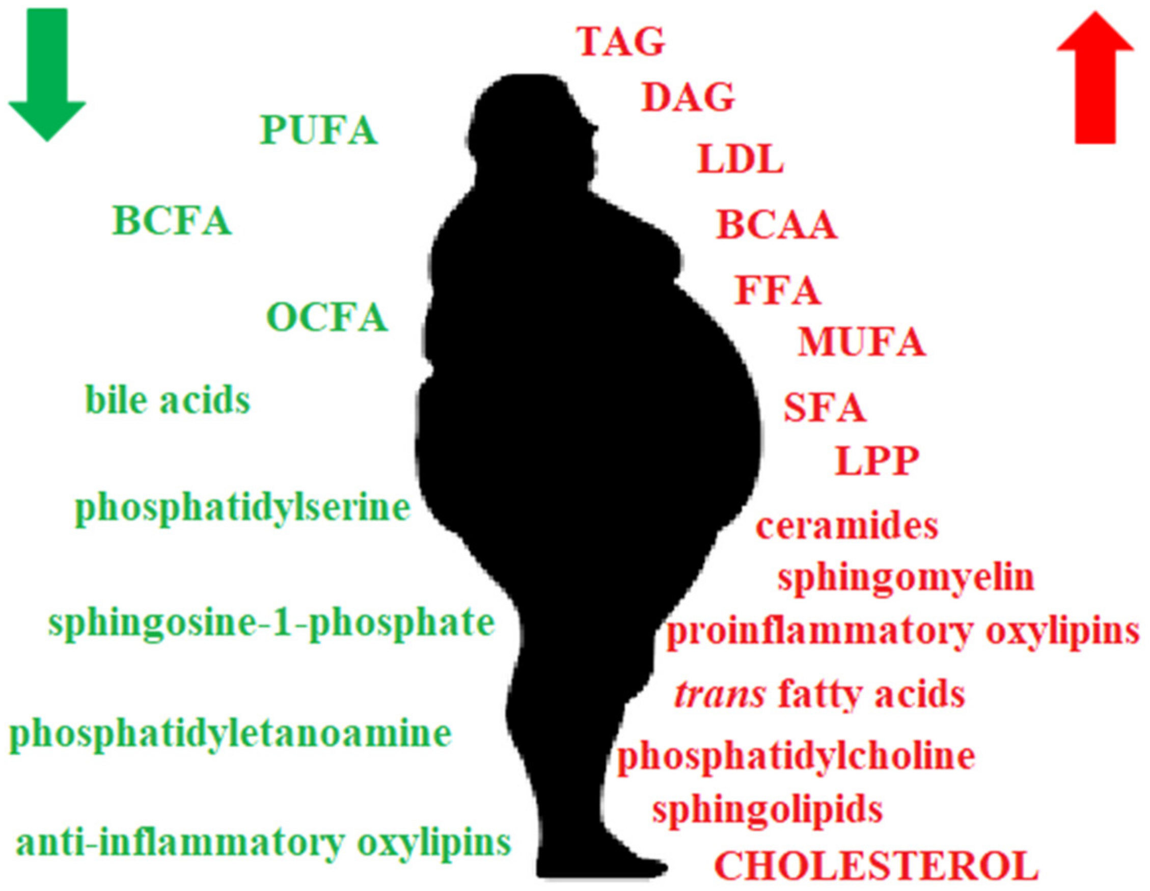 Molecules 25 05307 g001 Molecules 25 05307 g001