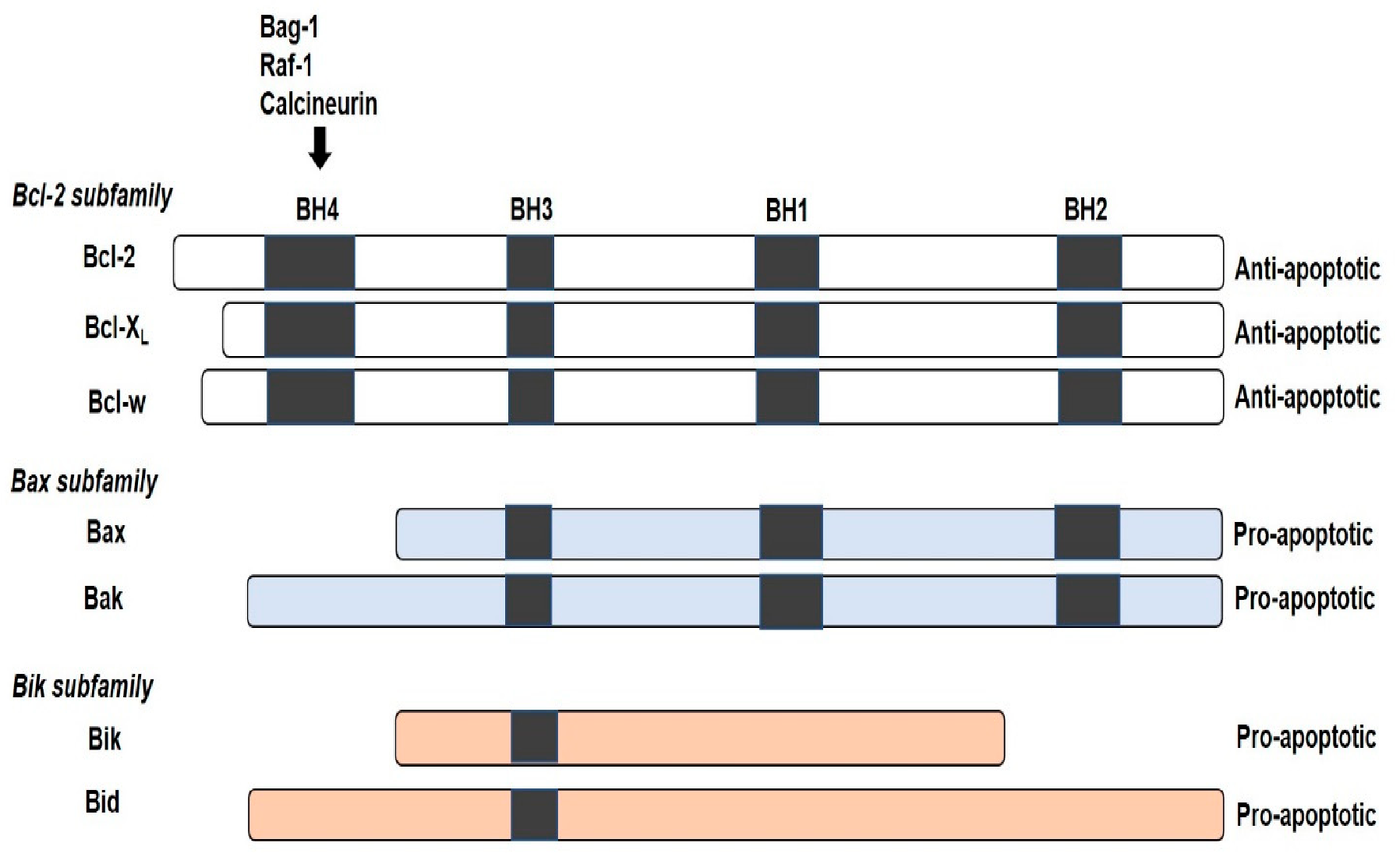 Molecules 25 05308 g001 Molecules 25 05308 g001