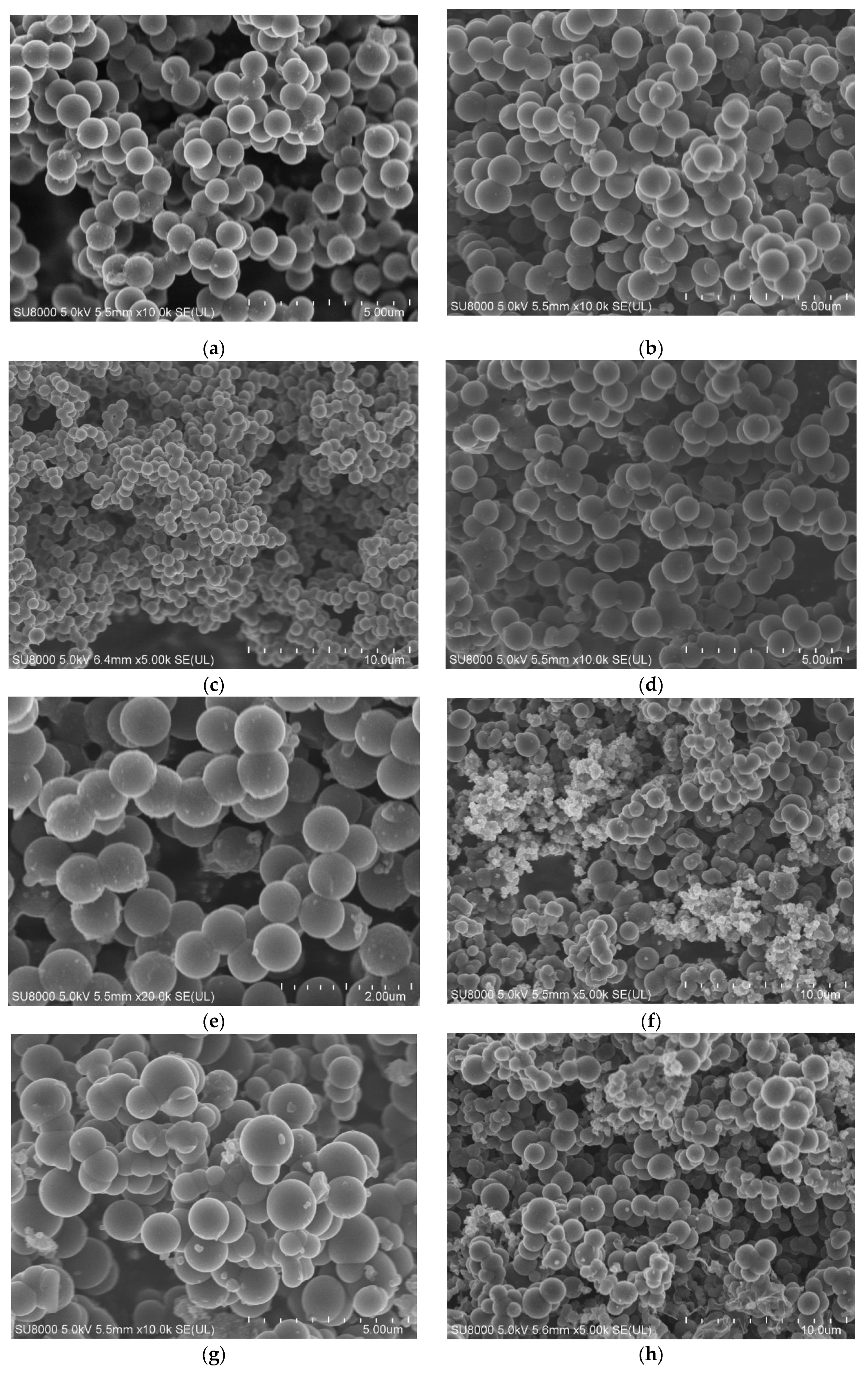 Molecules 25 05328 g001a Molecules 25 05328 g001a