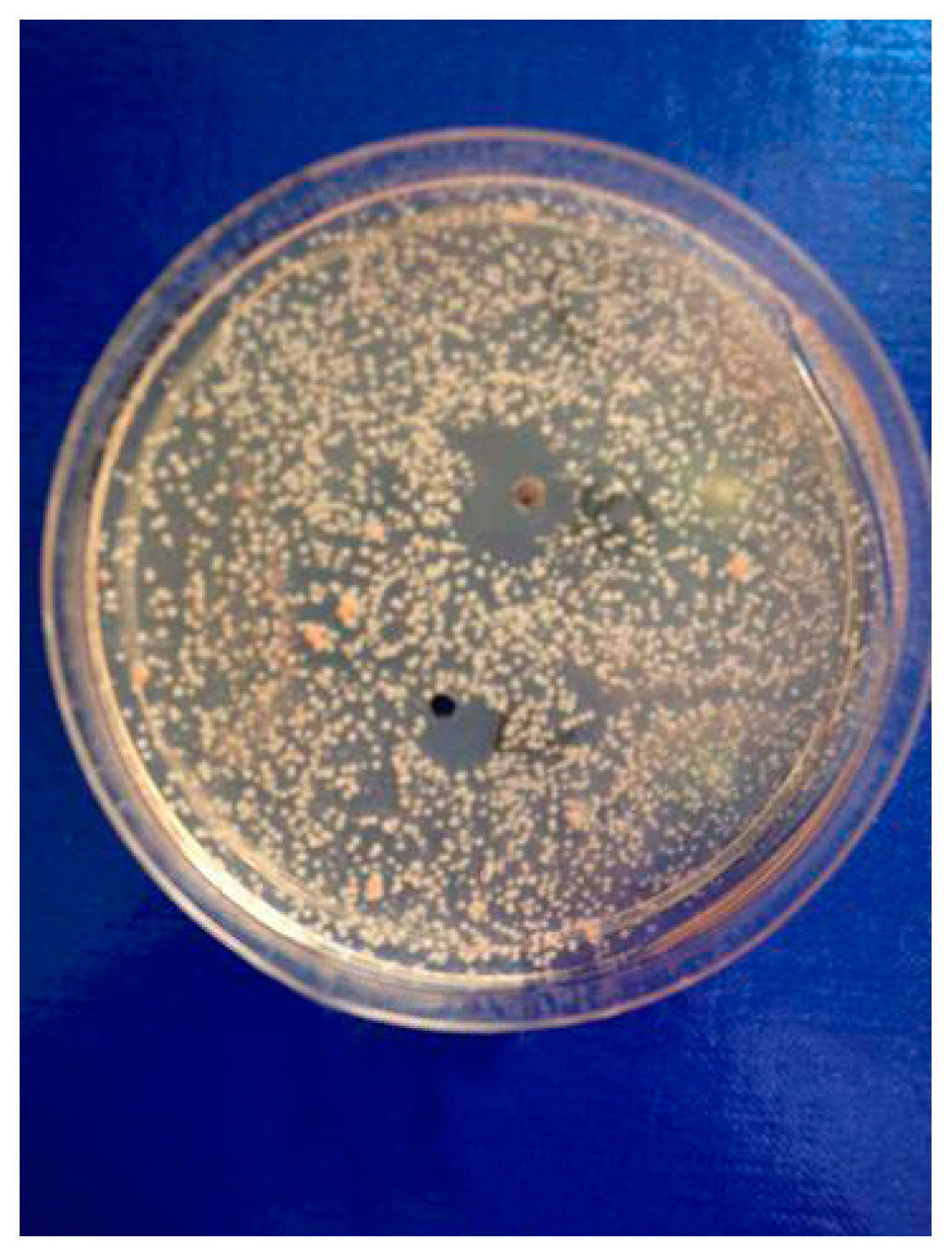 Molecules 25 05329 g001 Molecules 25 05329 g001