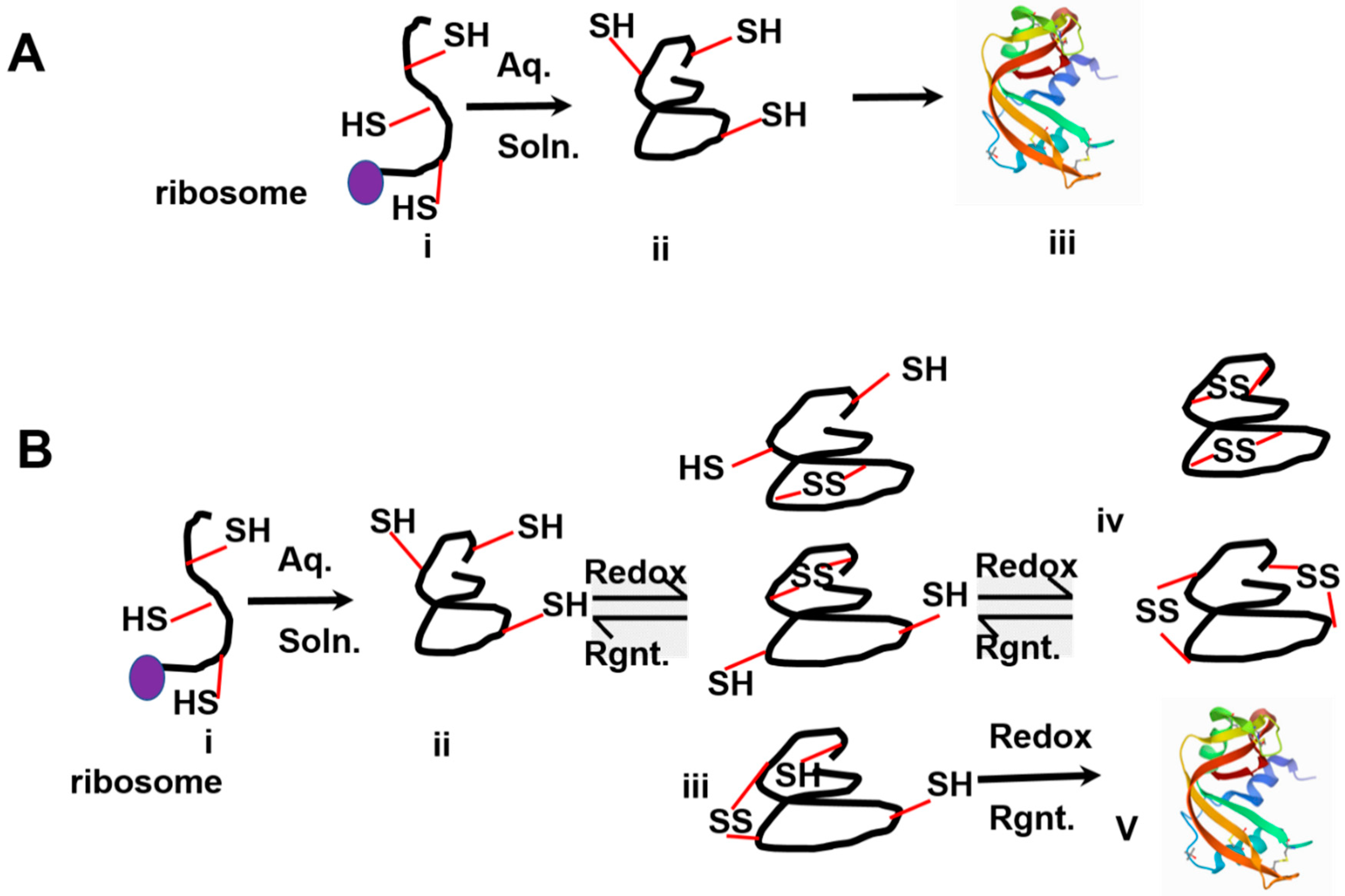 Molecules 25 05337 sch001 Molecules 25 05337 sch001