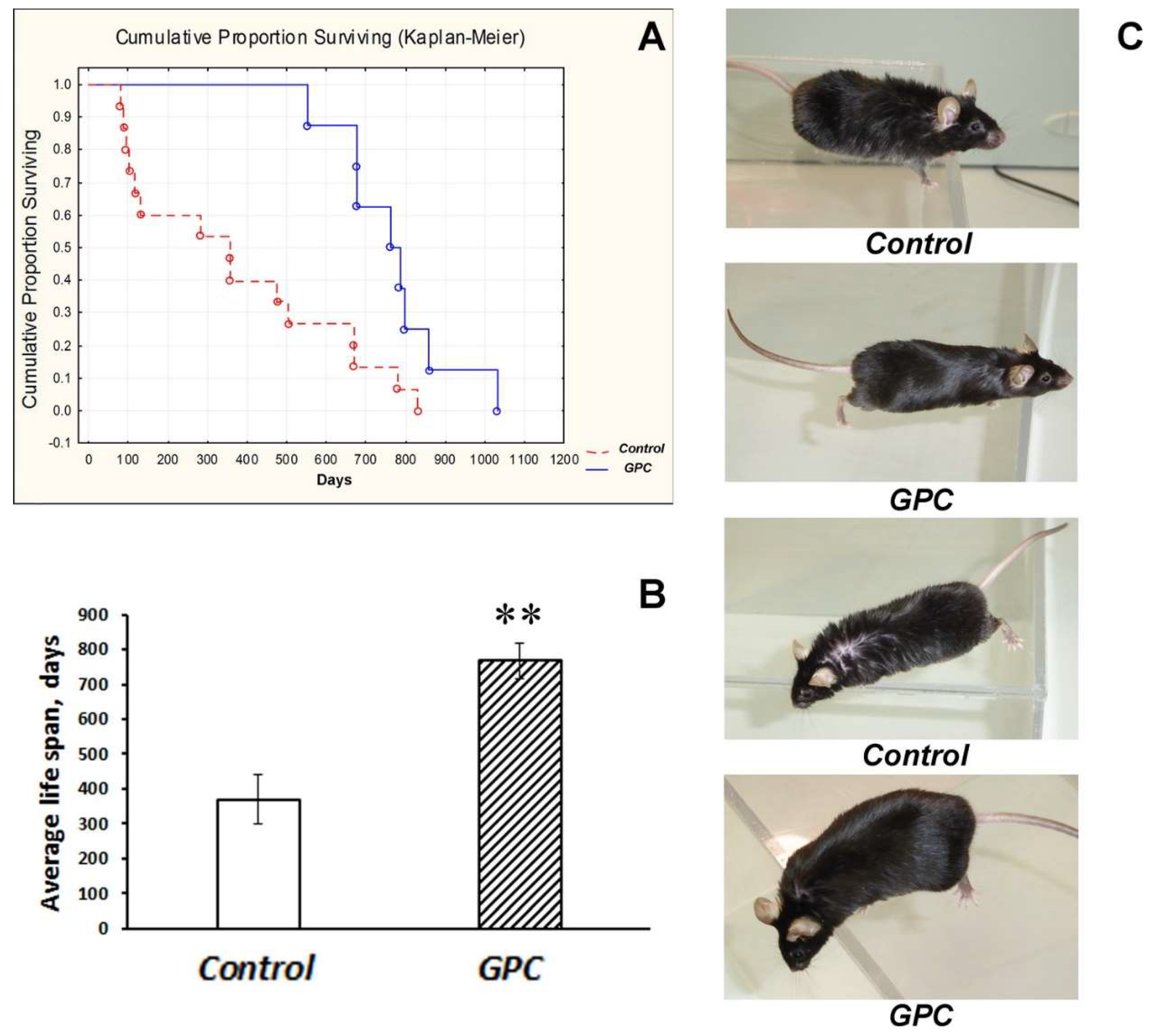 Molecules 25 05339 g001