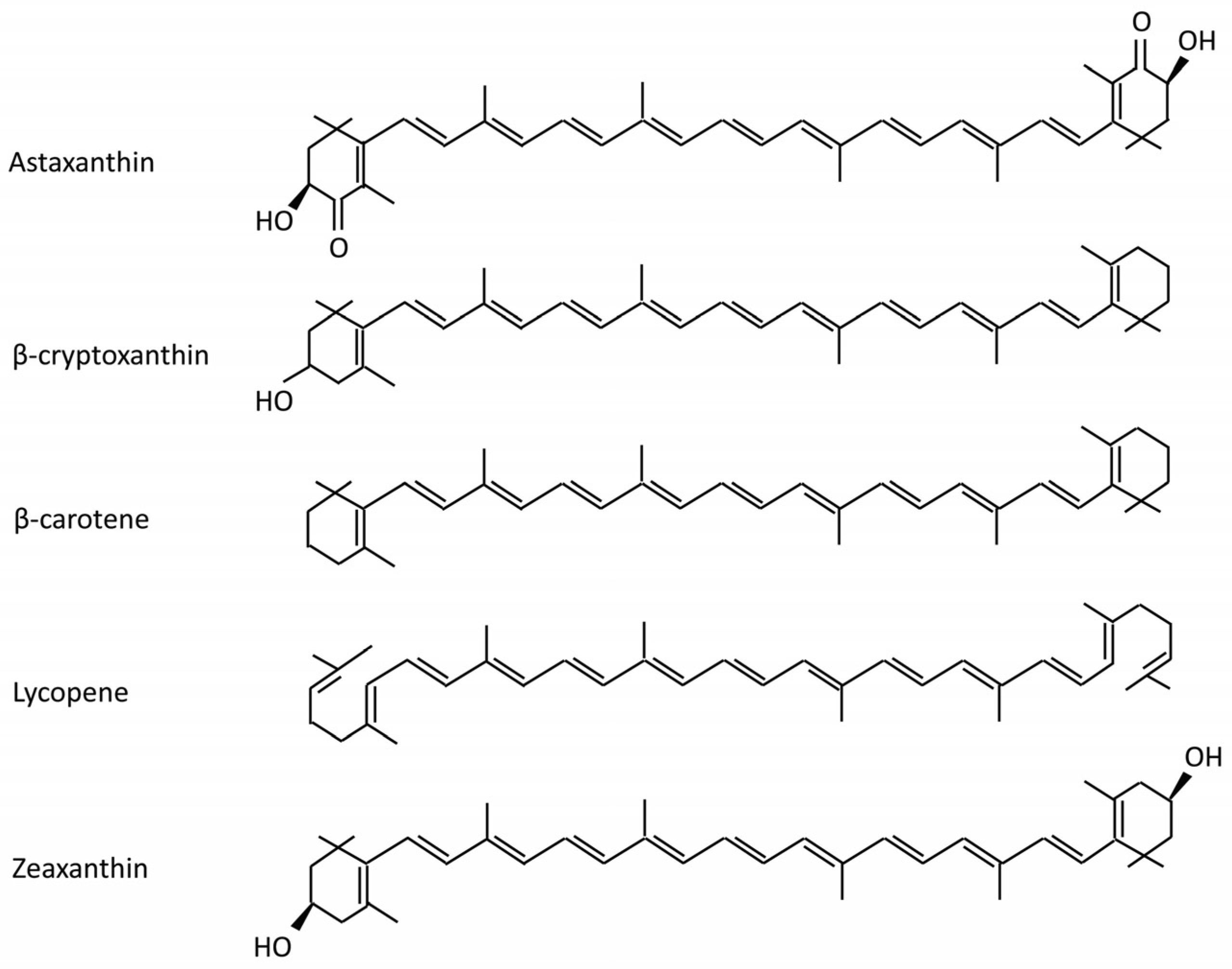 Molecules 25 05342 g001 Molecules 25 05342 g001