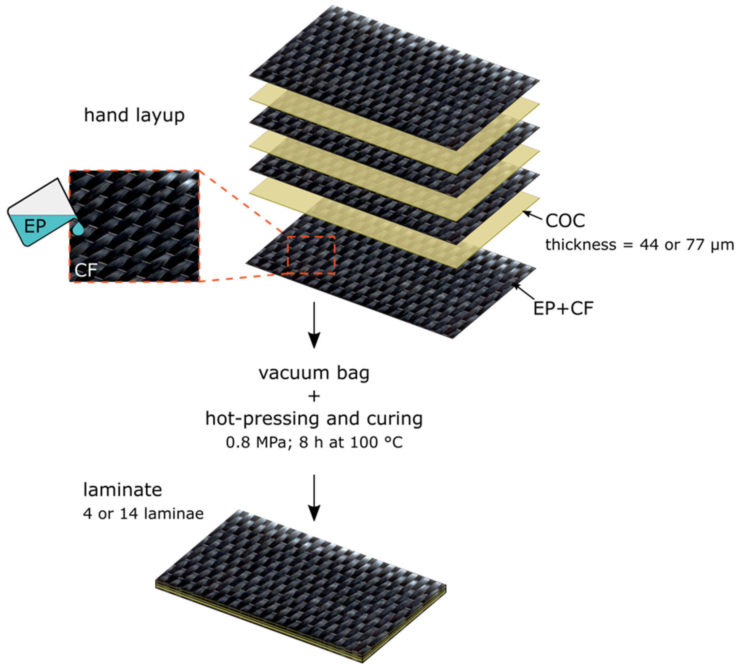 Molecules 25 05347 g001
