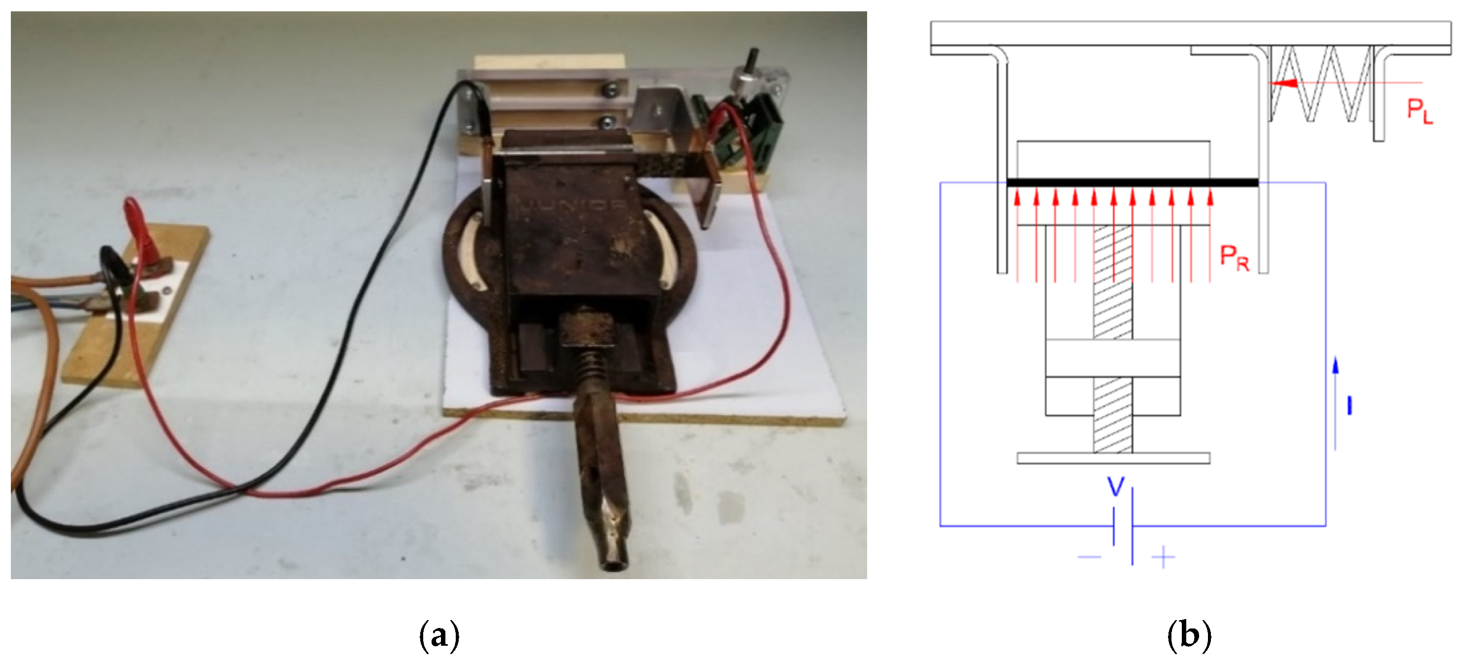 Molecules 25 05347 g003
