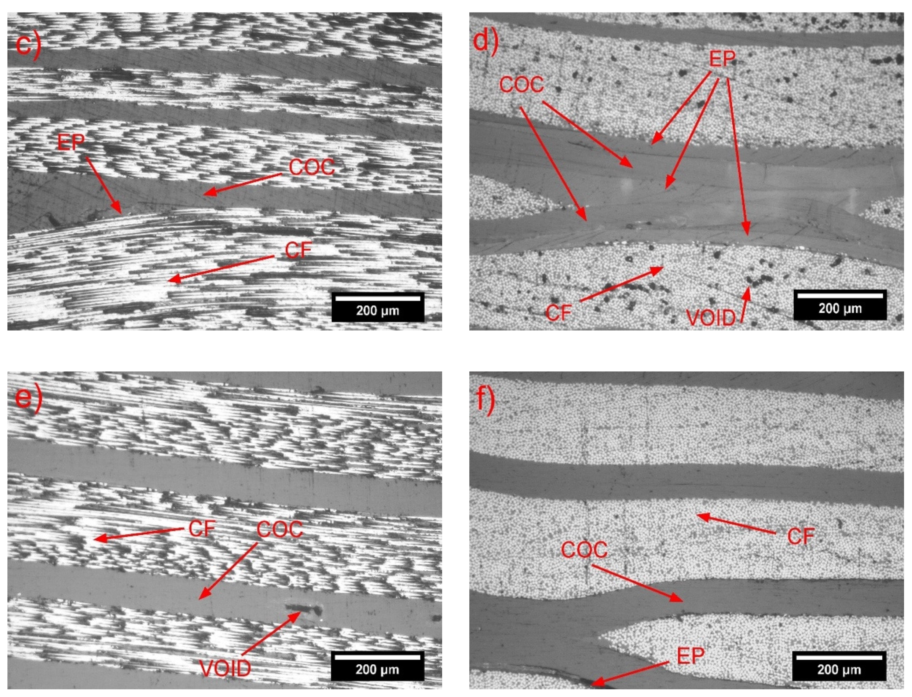 Molecules 25 05347 g005b