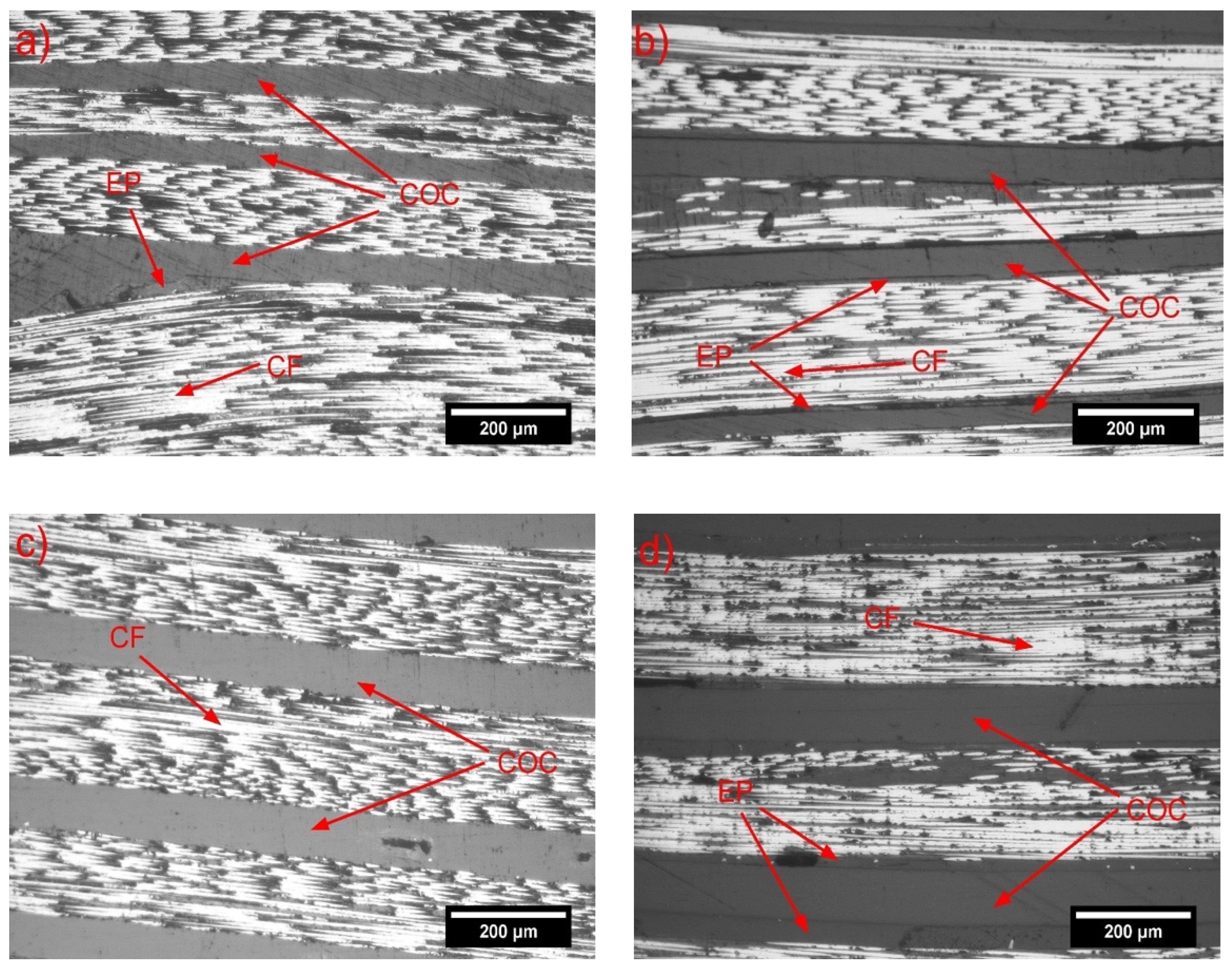 Molecules 25 05347 g010
