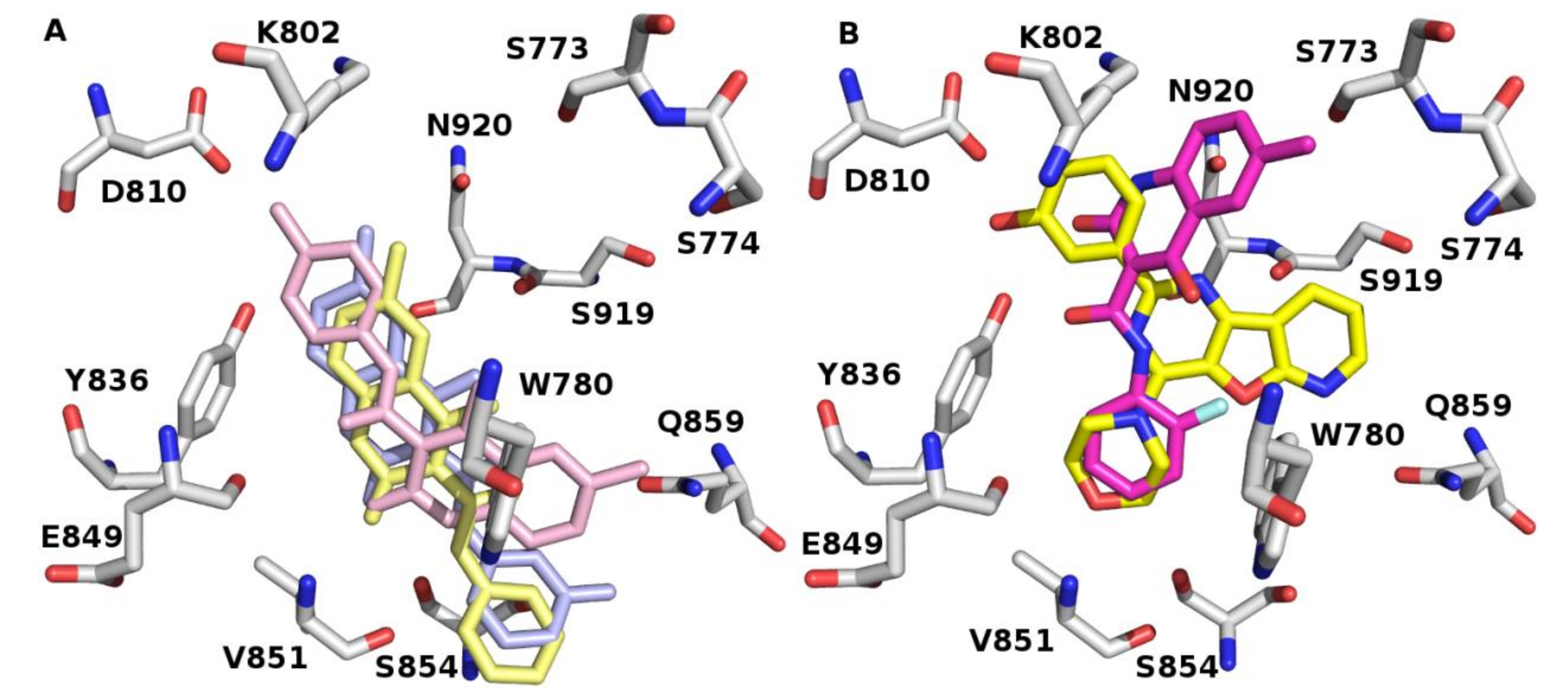Molecules 25 05348 g004 Molecules 25 05348 g004