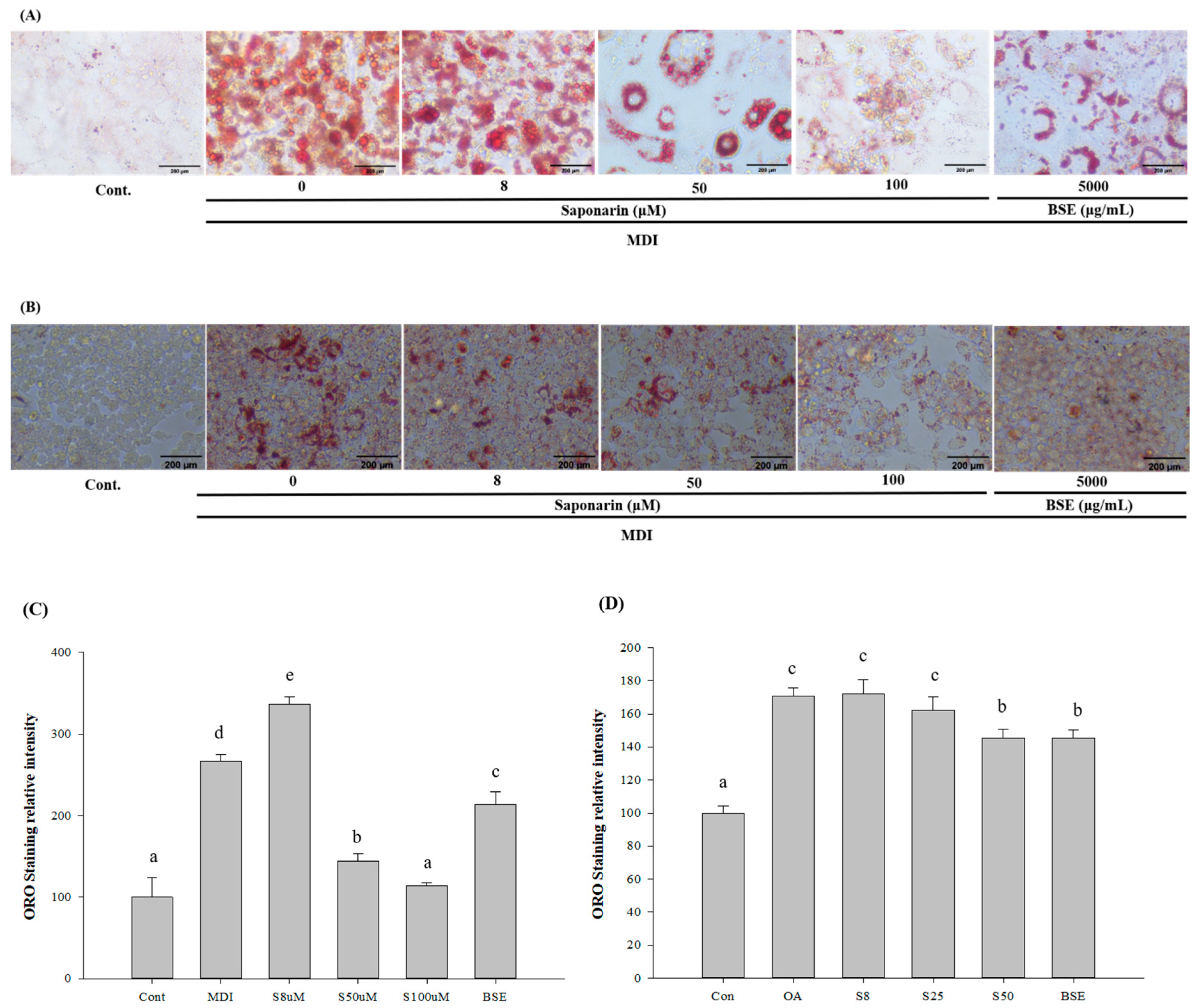 Molecules 25 05349 g003 Molecules 25 05349 g003