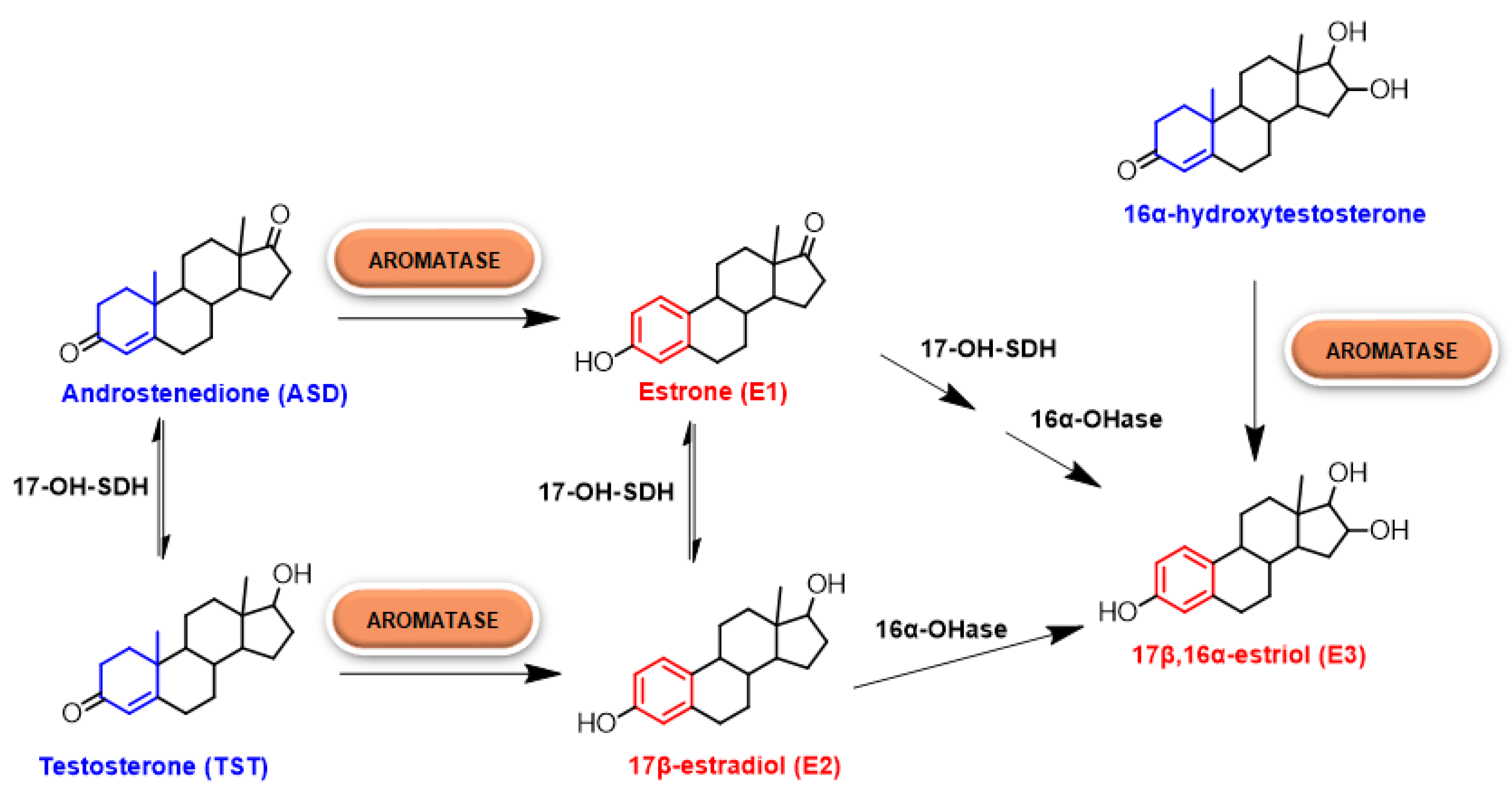 Molecules 25 05351 g001 Molecules 25 05351 g001
