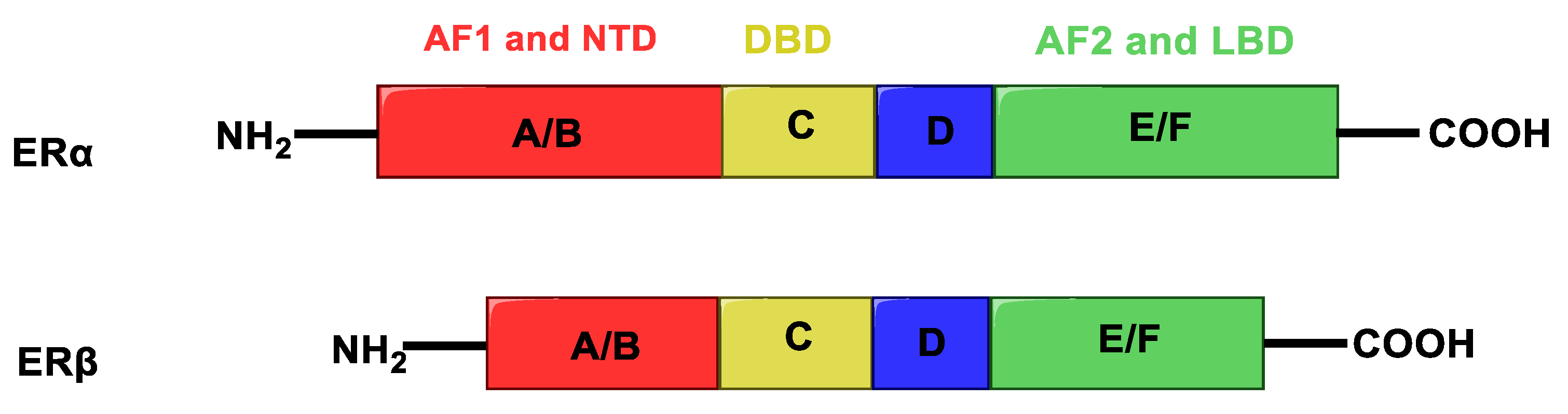 Molecules 25 05351 g002 Molecules 25 05351 g002