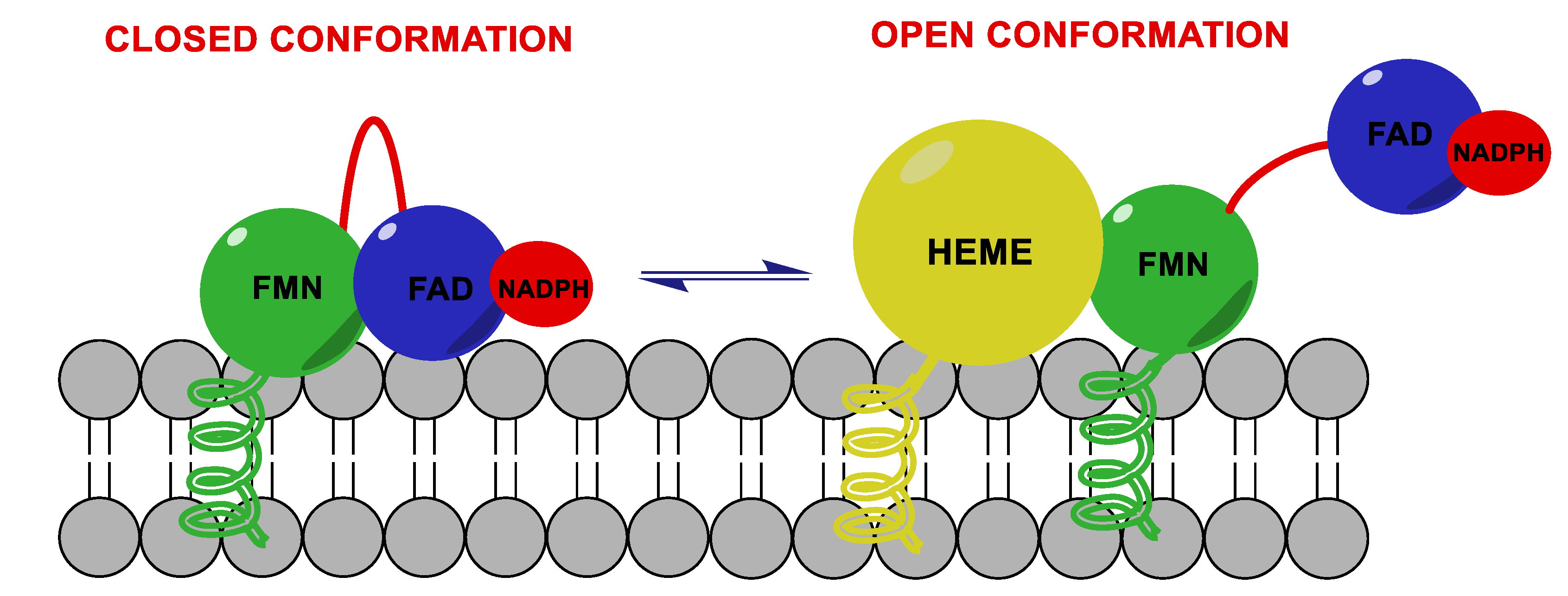 Molecules 25 05351 g003 Molecules 25 05351 g003