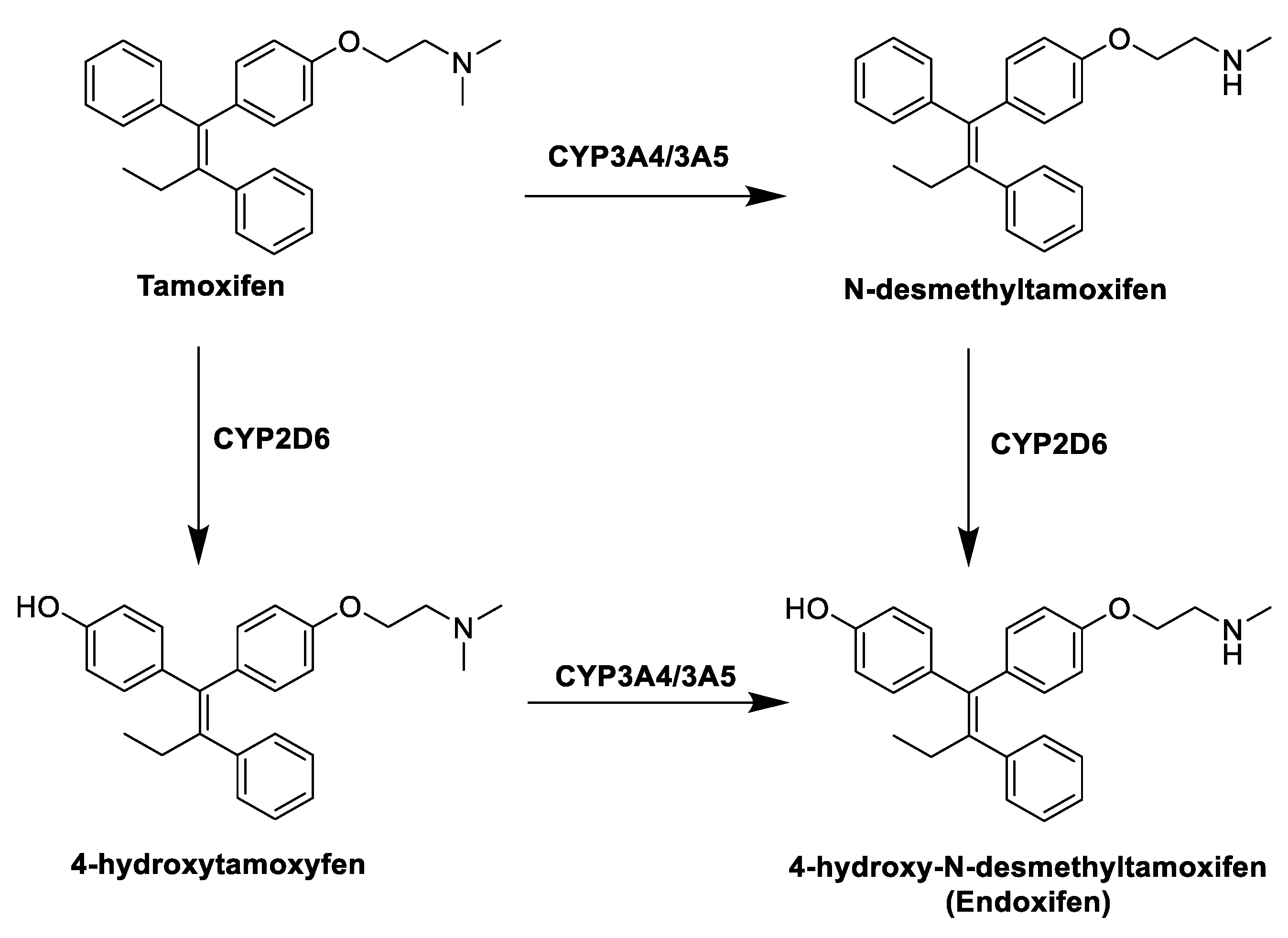 Molecules 25 05351 g004 Molecules 25 05351 g004