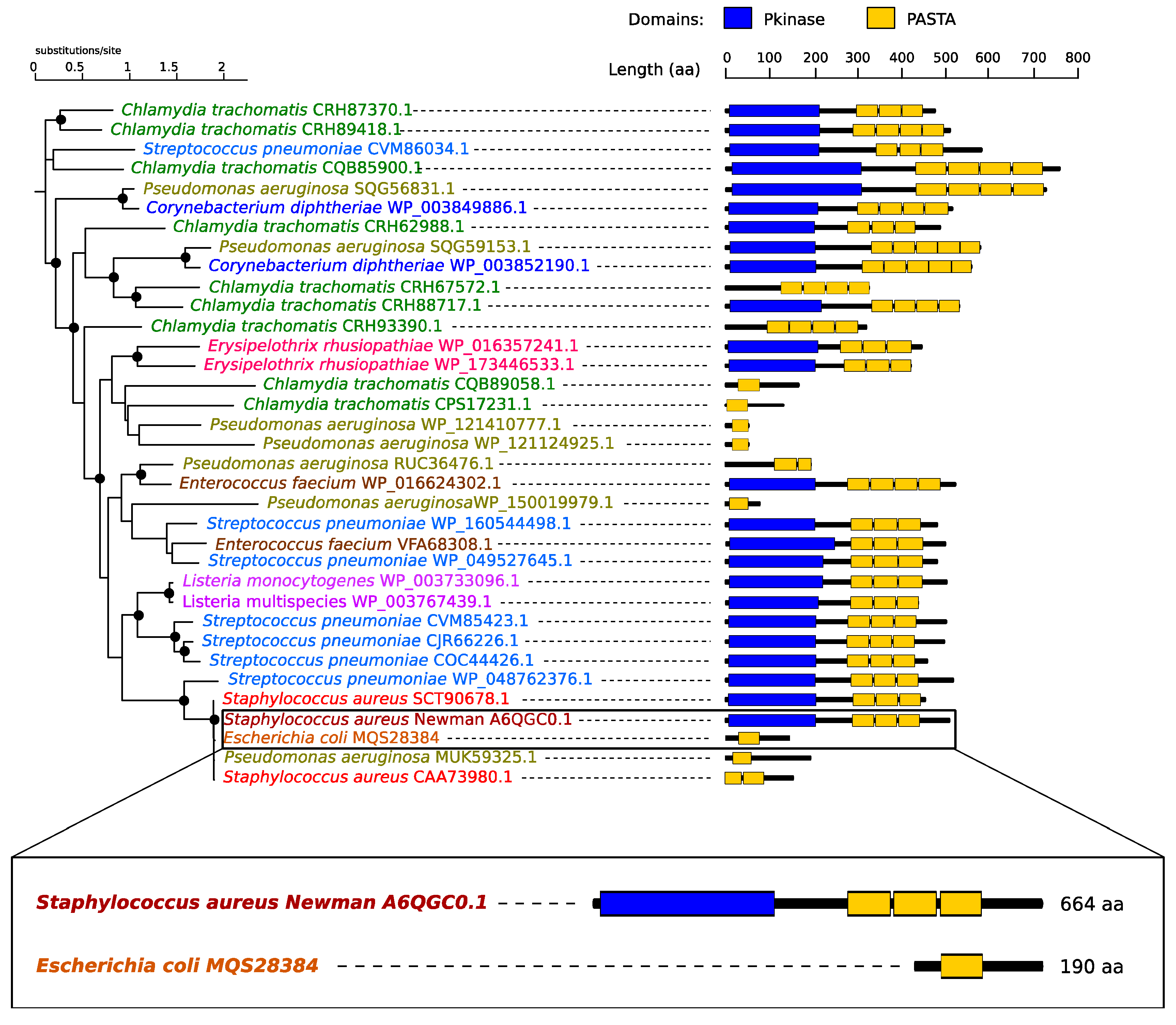 Molecules 25 05354 g002