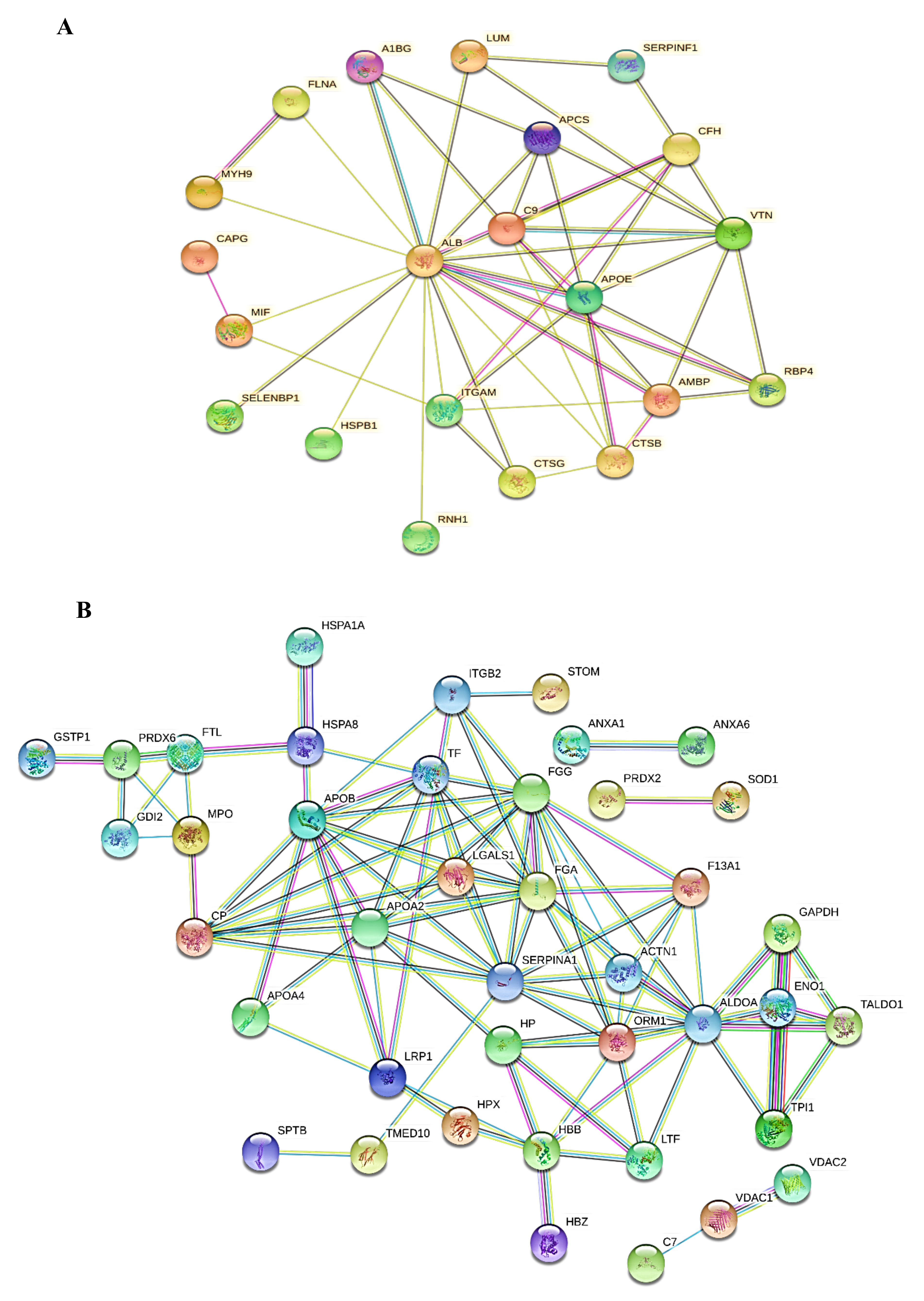 Molecules 25 05355 g006