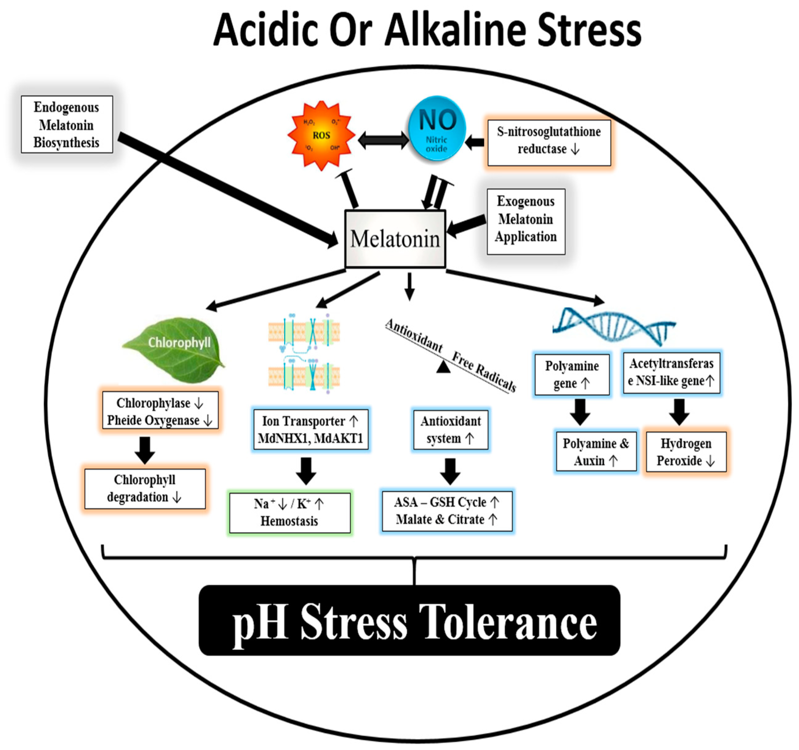 Molecules 25 05359 g002
