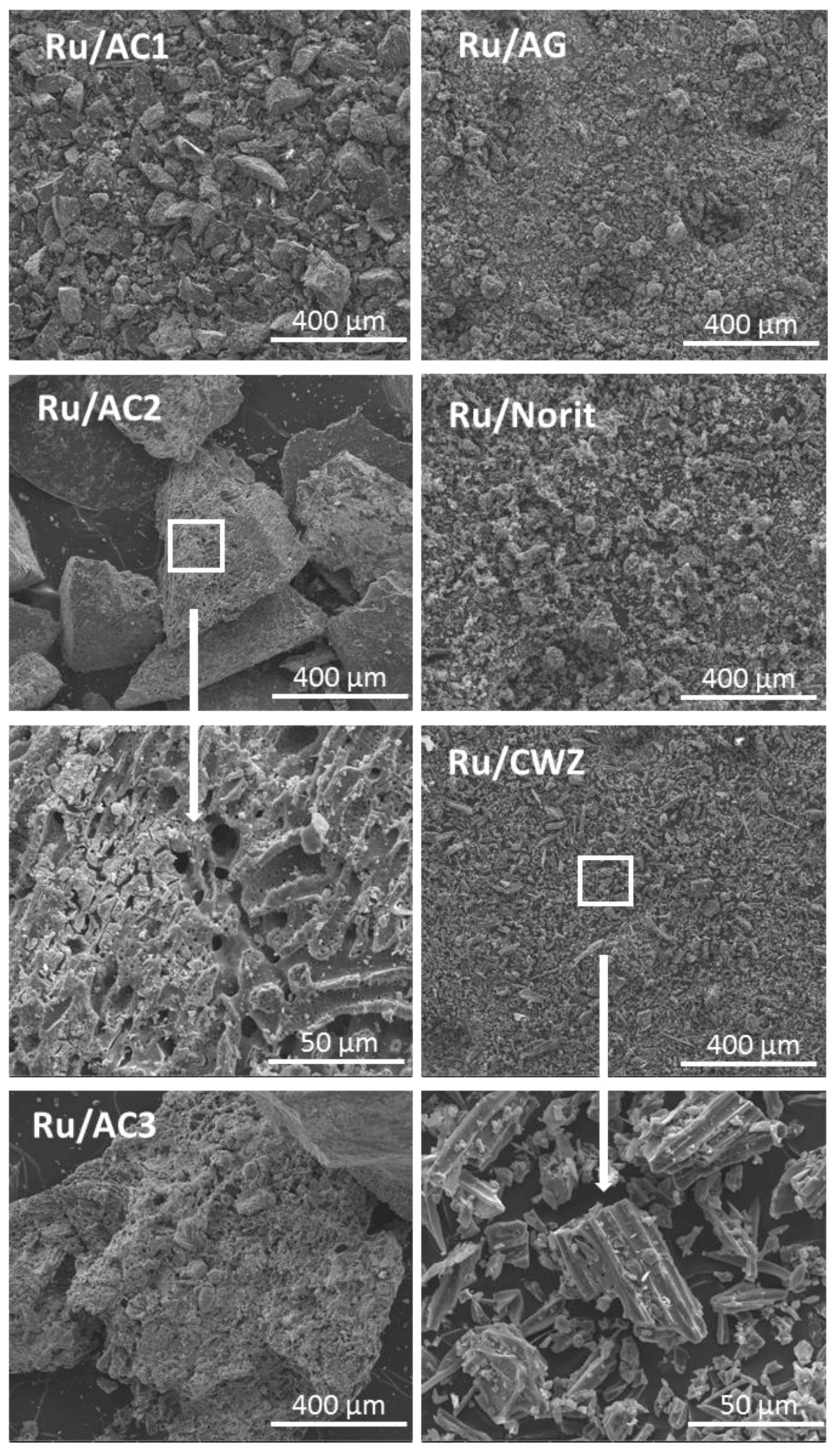 Molecules 25 05362 g001