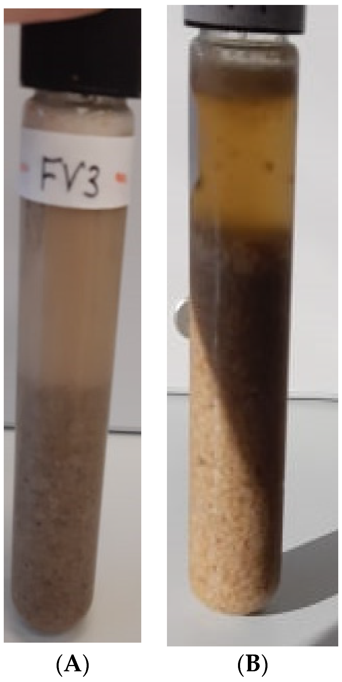 Molecules 25 05366 g0a2