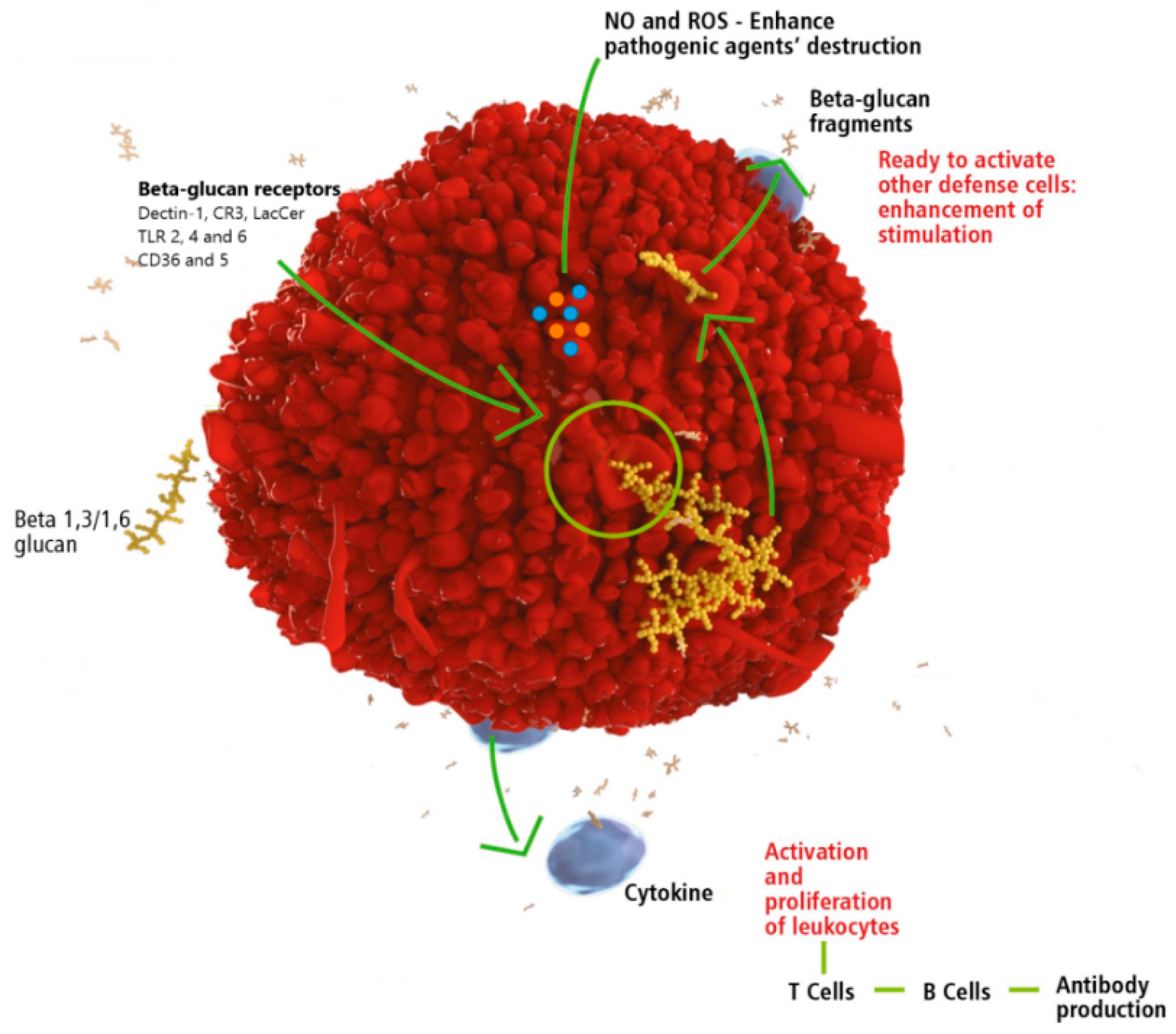 Molecules 25 05378 g001