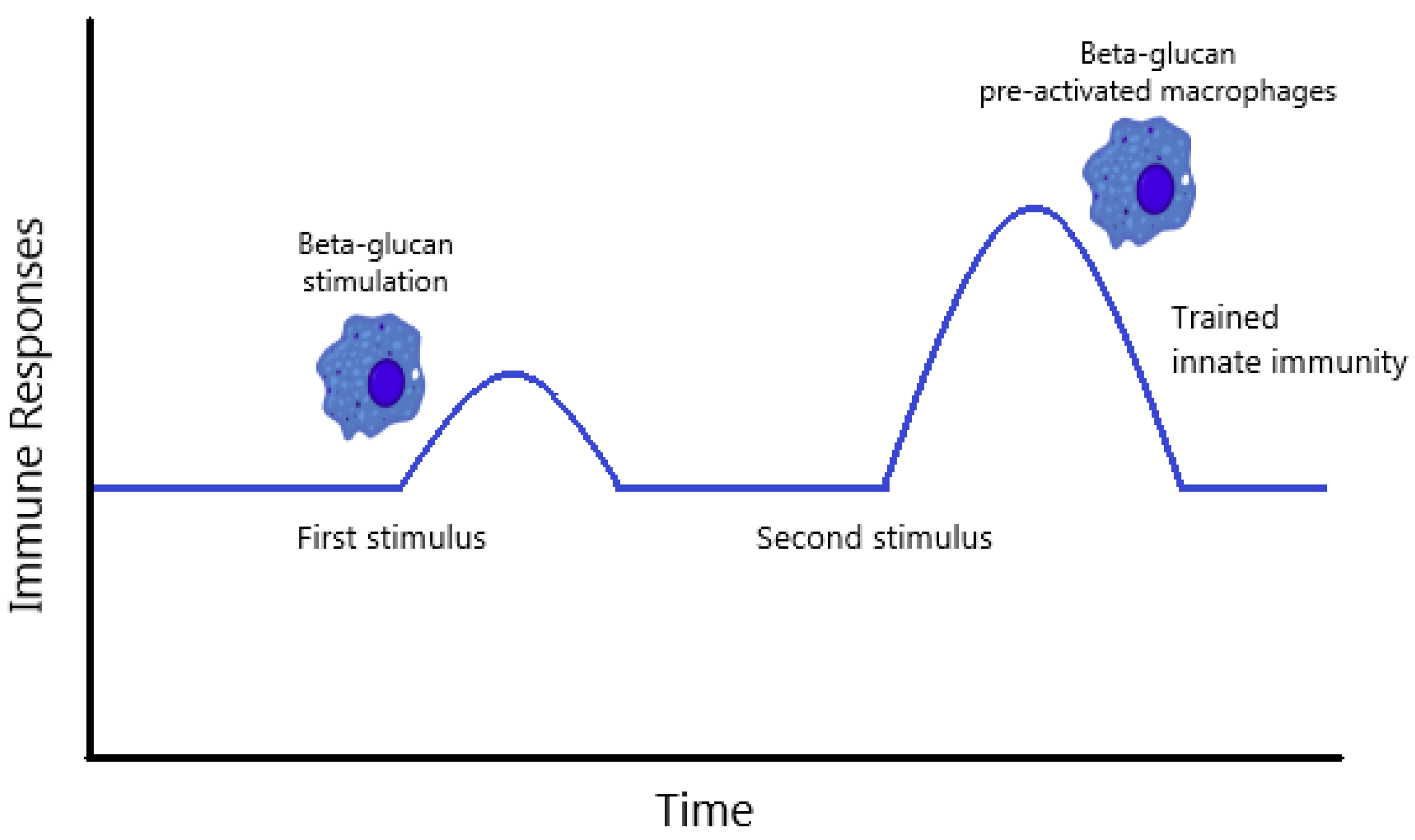 Molecules 25 05378 g002