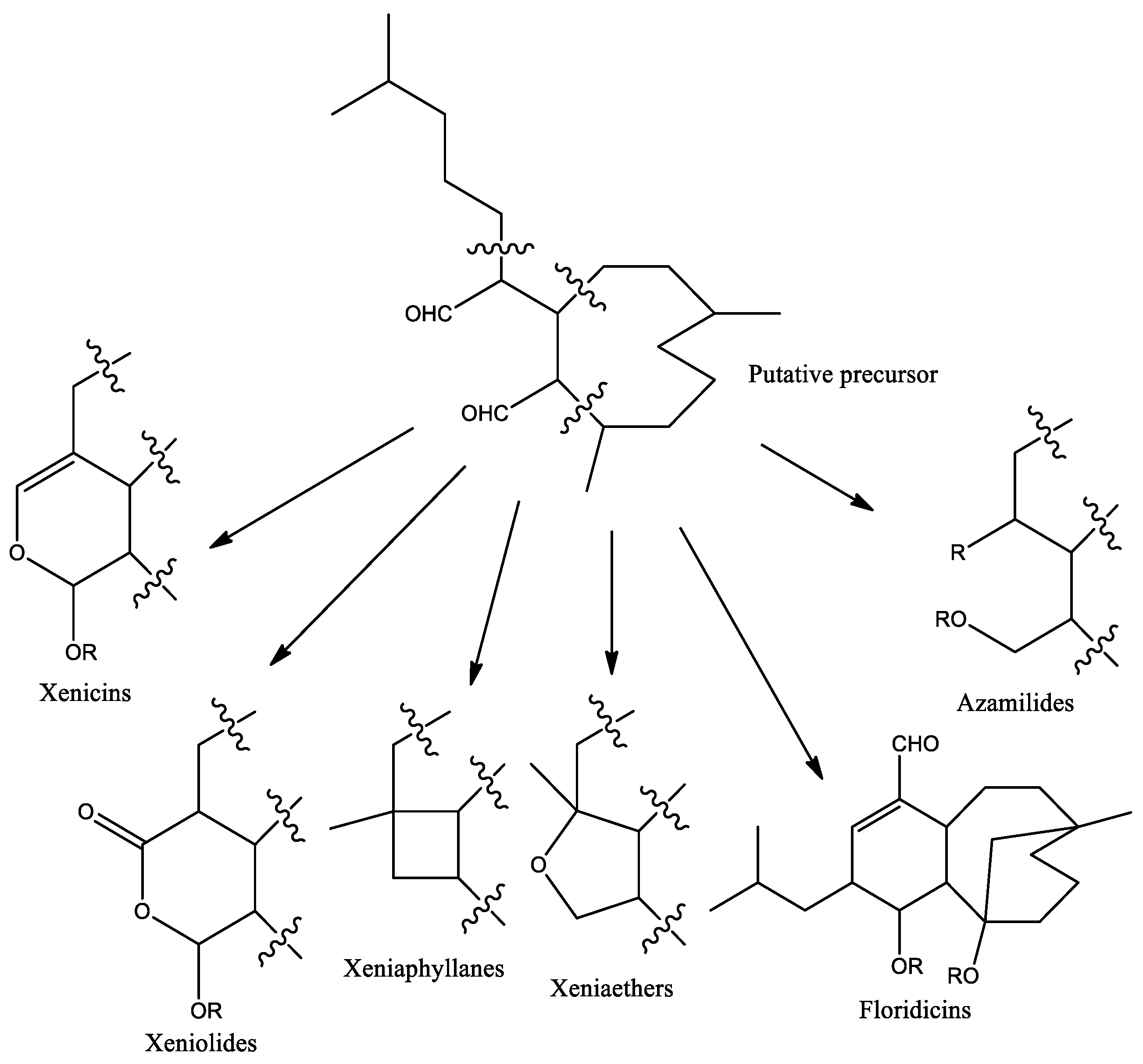 Molecules 25 05386 g001