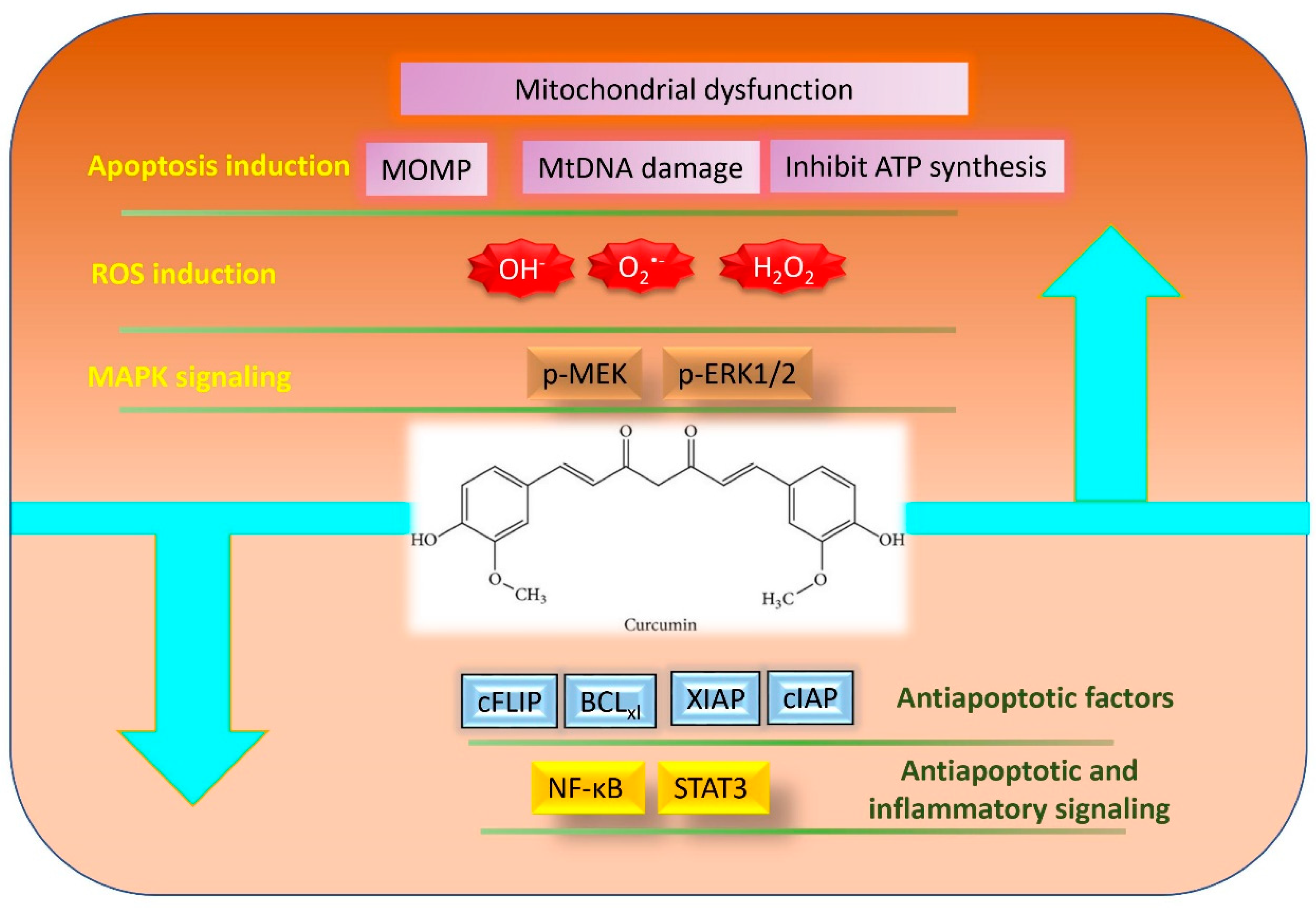 Molecules 25 05390 g002