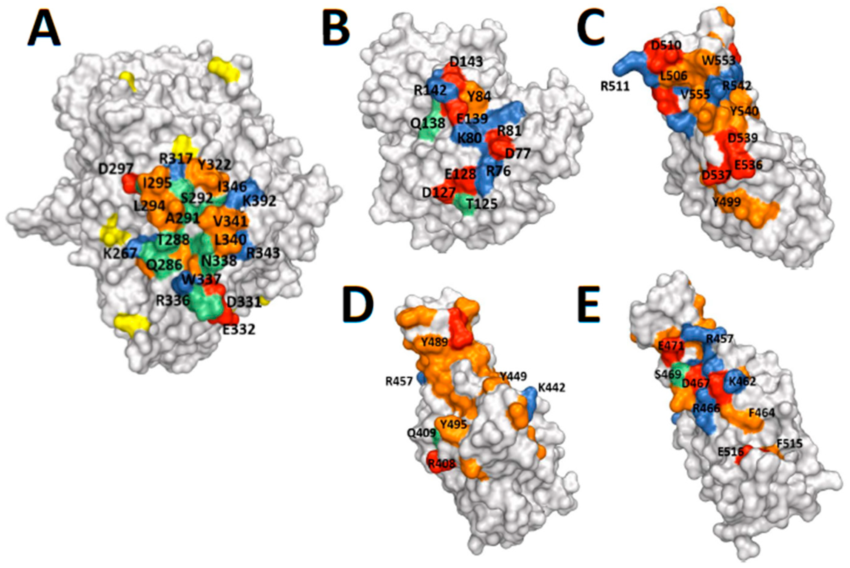 Molecules 25 05392 g005 Molecules 25 05392 g005