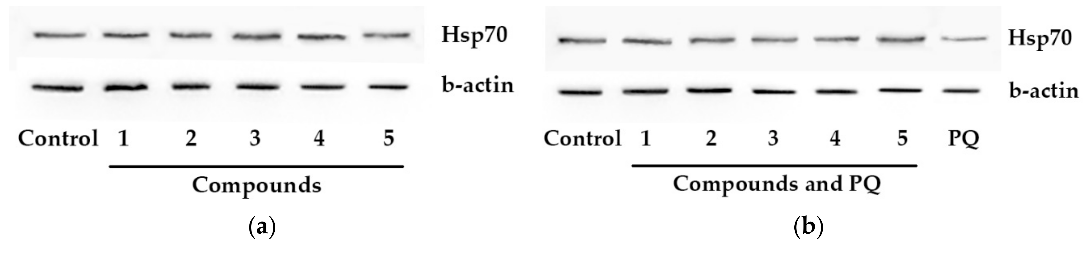 Molecules 25 05397 g004a Molecules 25 05397 g004a