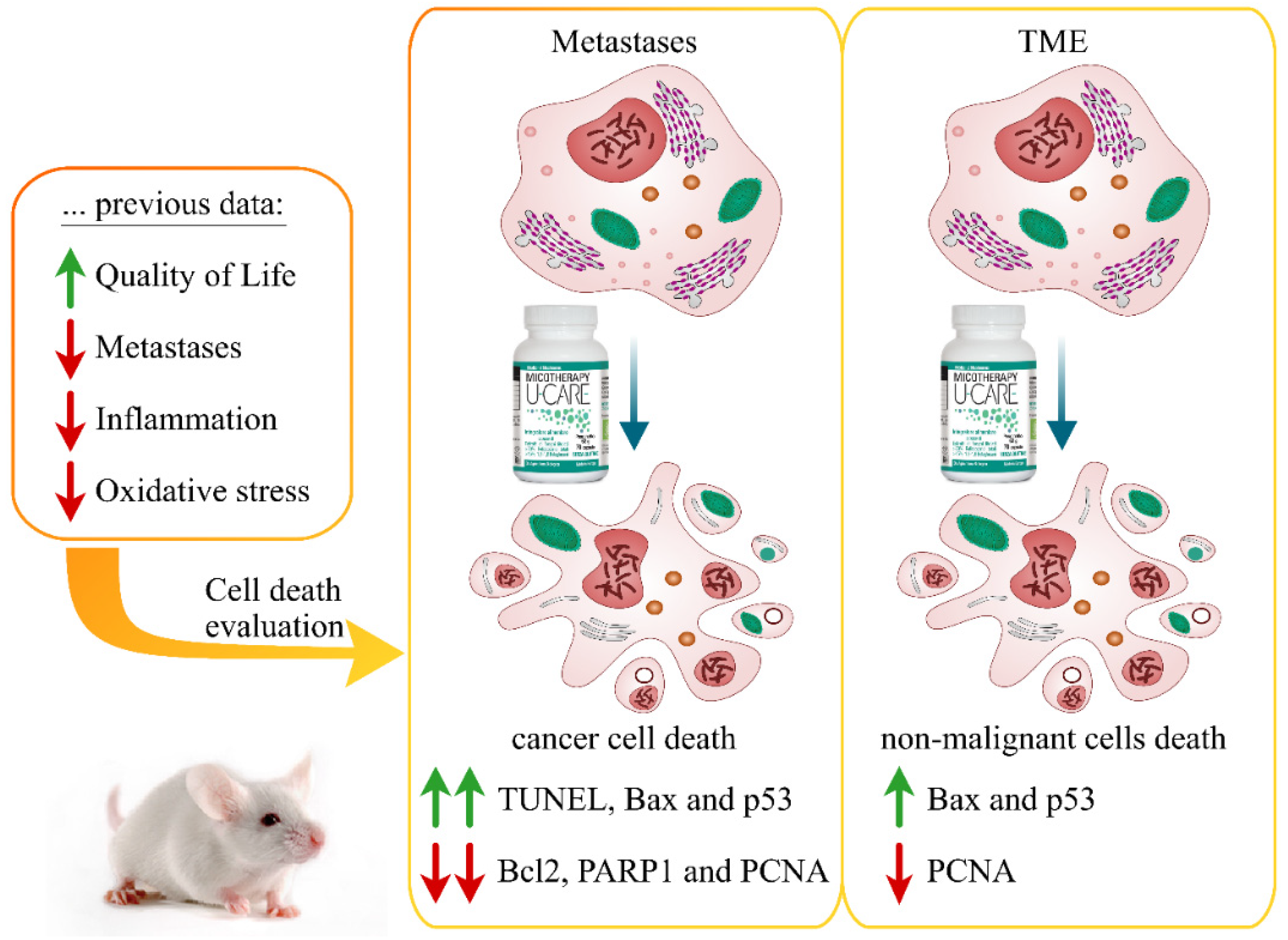 Molecules 25 05400 g001