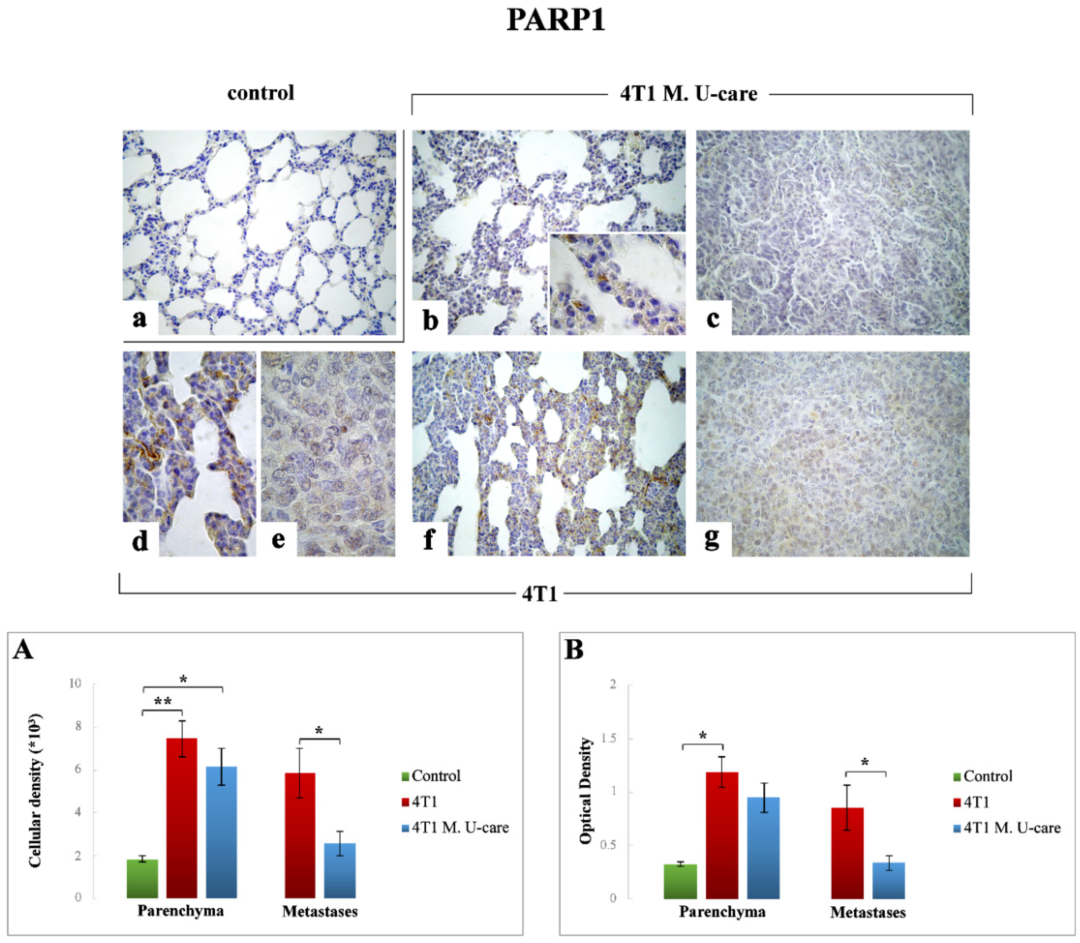Molecules 25 05400 g003