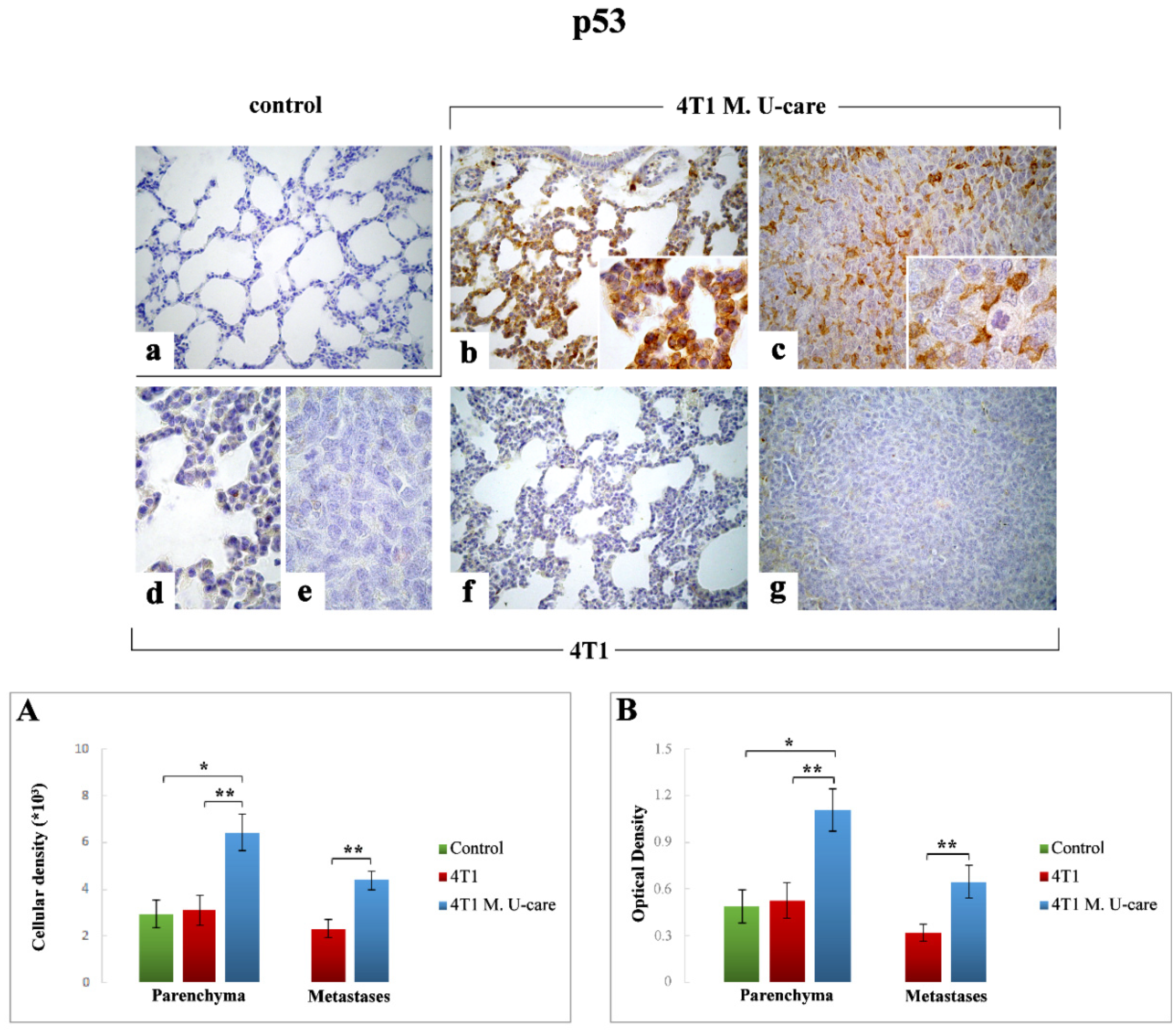 Molecules 25 05400 g004