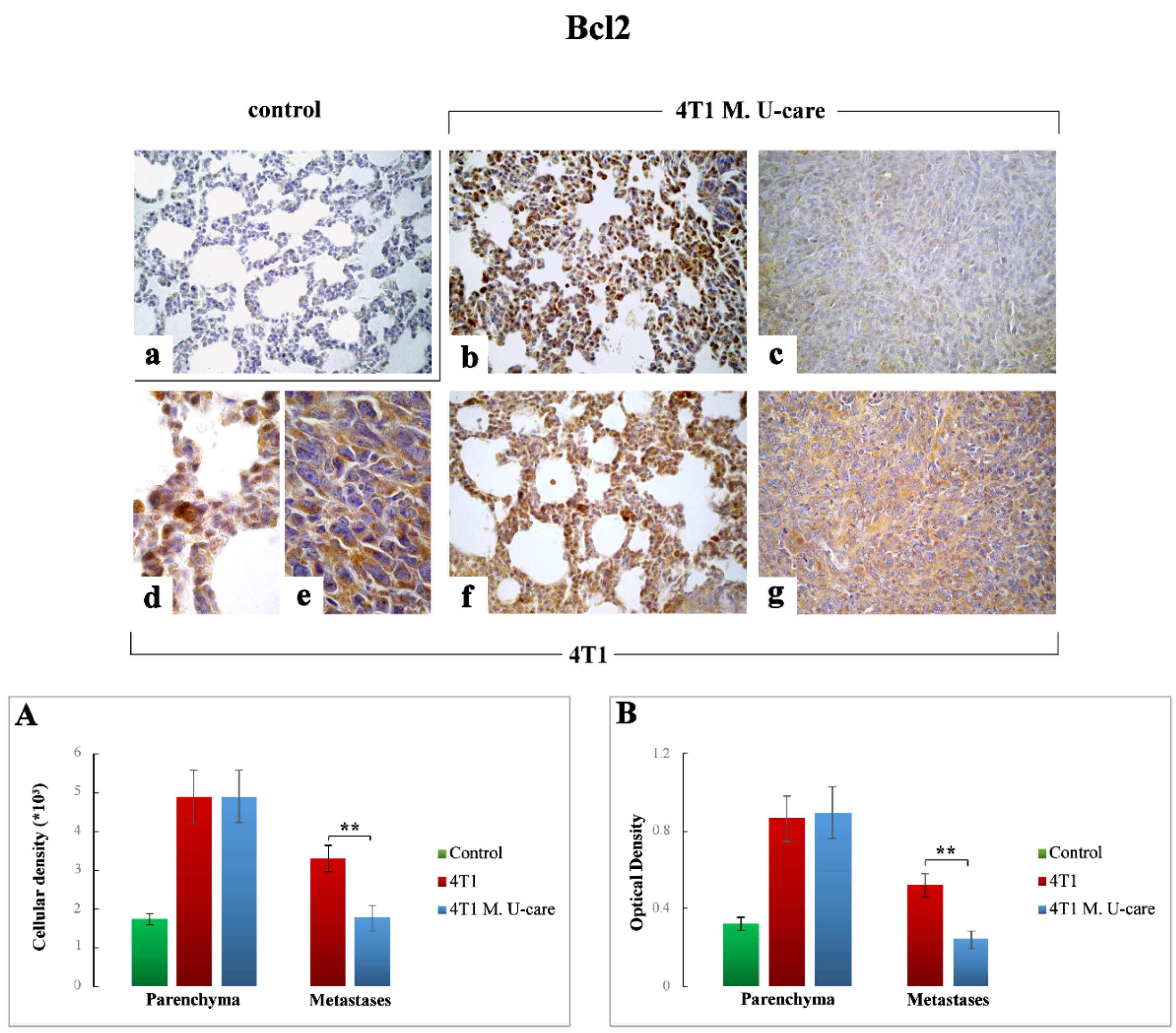 Molecules 25 05400 g006