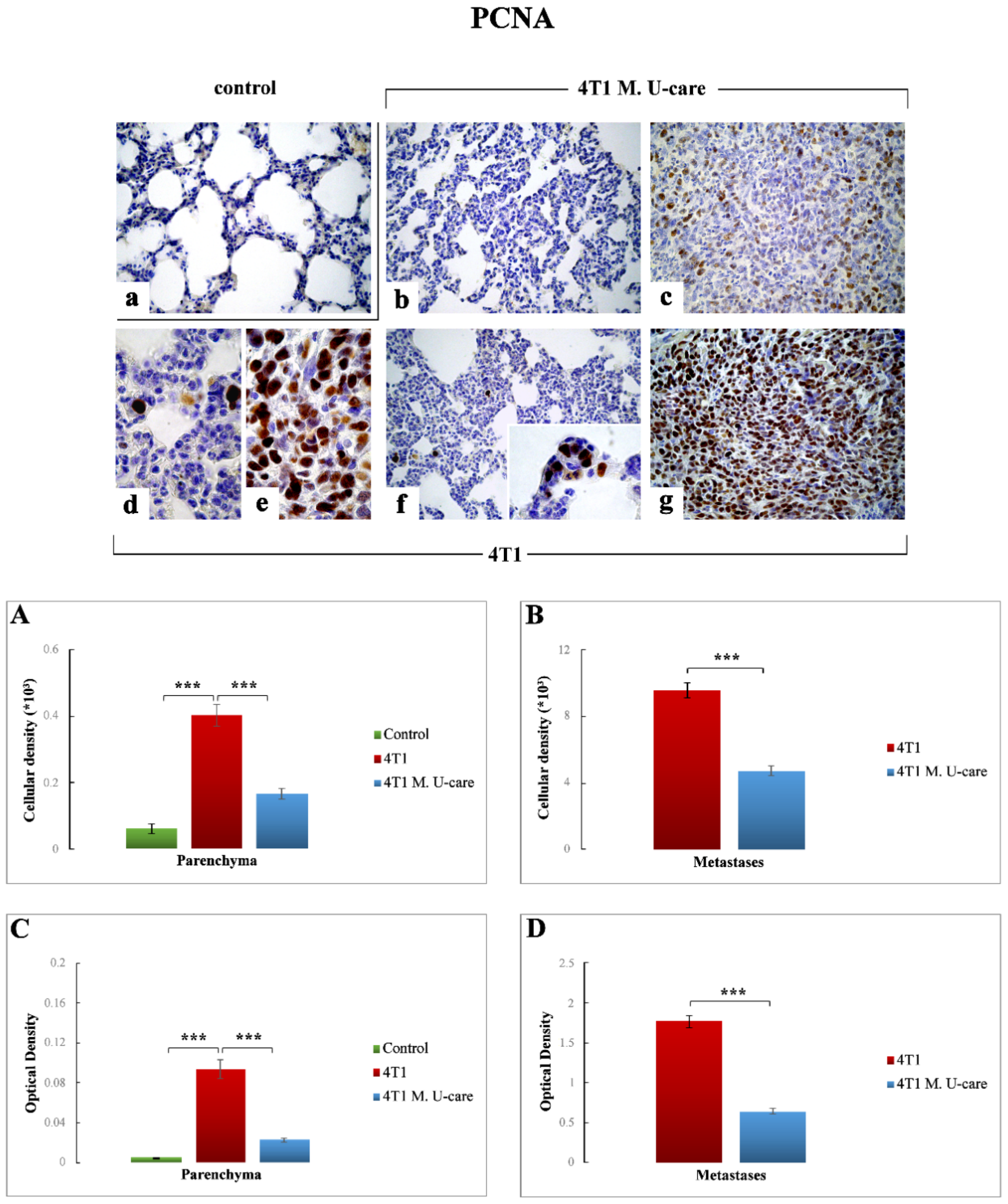 Molecules 25 05400 g007