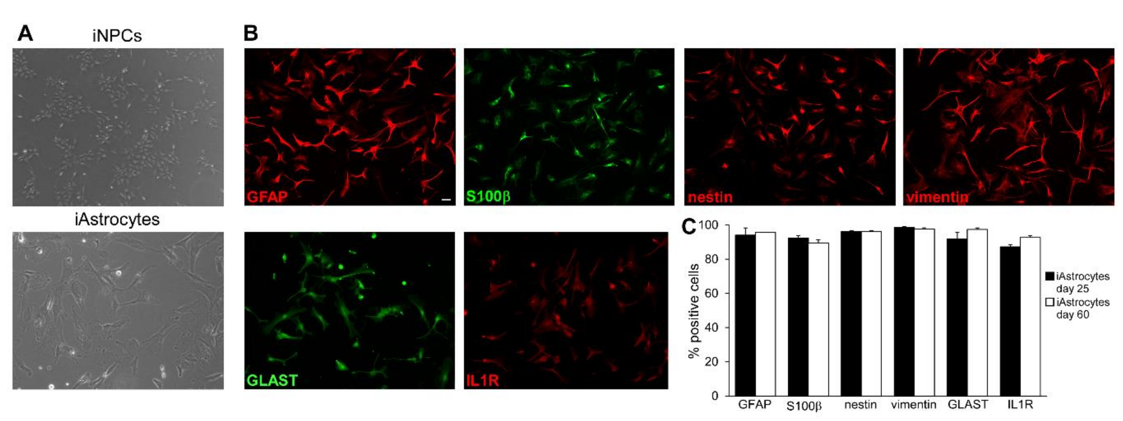 Molecules 25 05403 g001