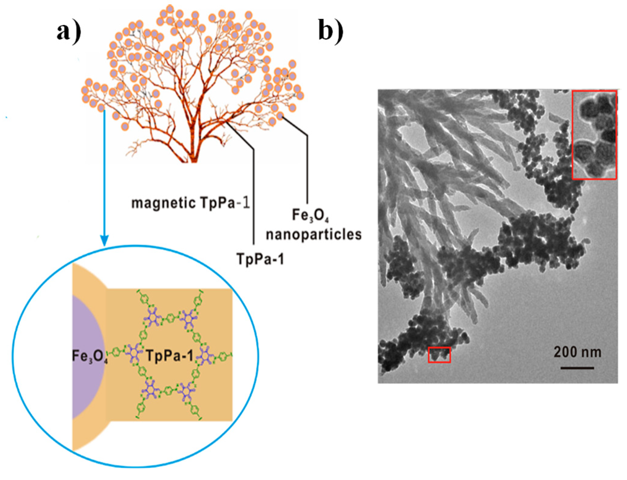 Molecules 25 05404 g001 Molecules 25 05404 g001