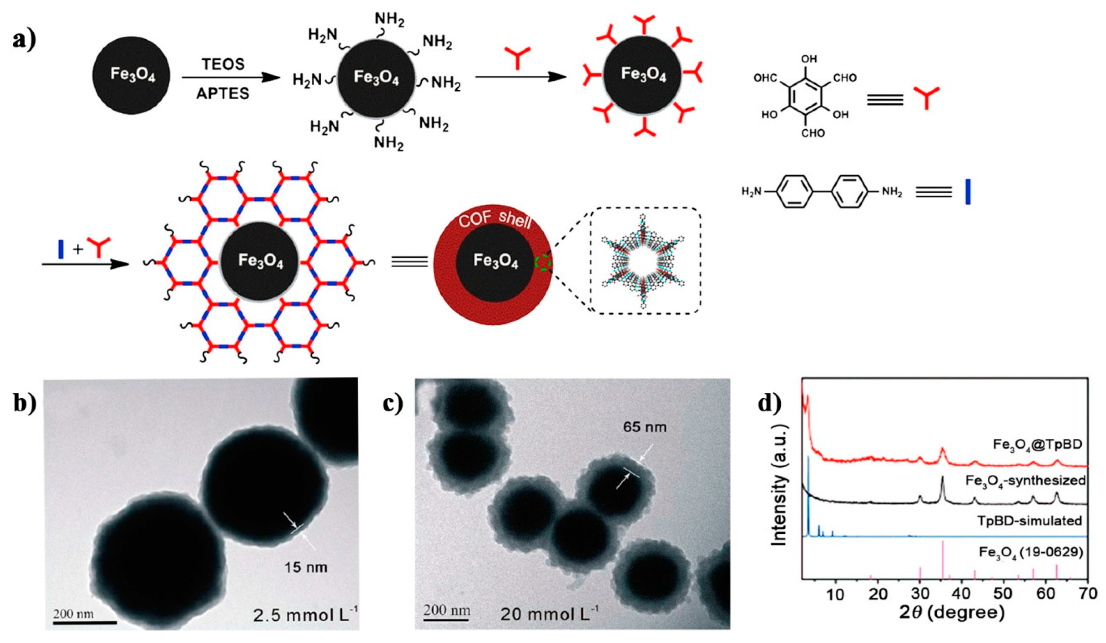 Molecules 25 05404 g004 Molecules 25 05404 g004