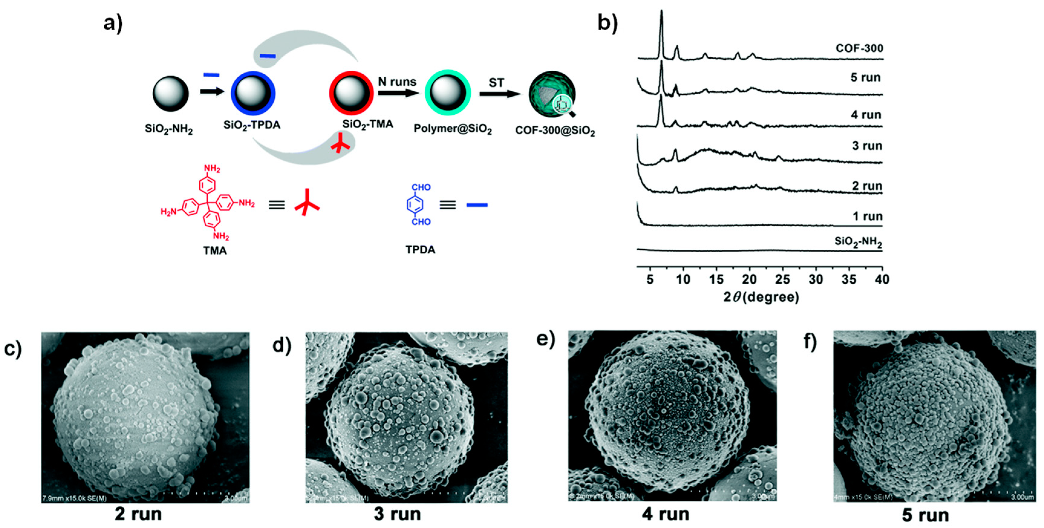 Molecules 25 05404 g005 Molecules 25 05404 g005