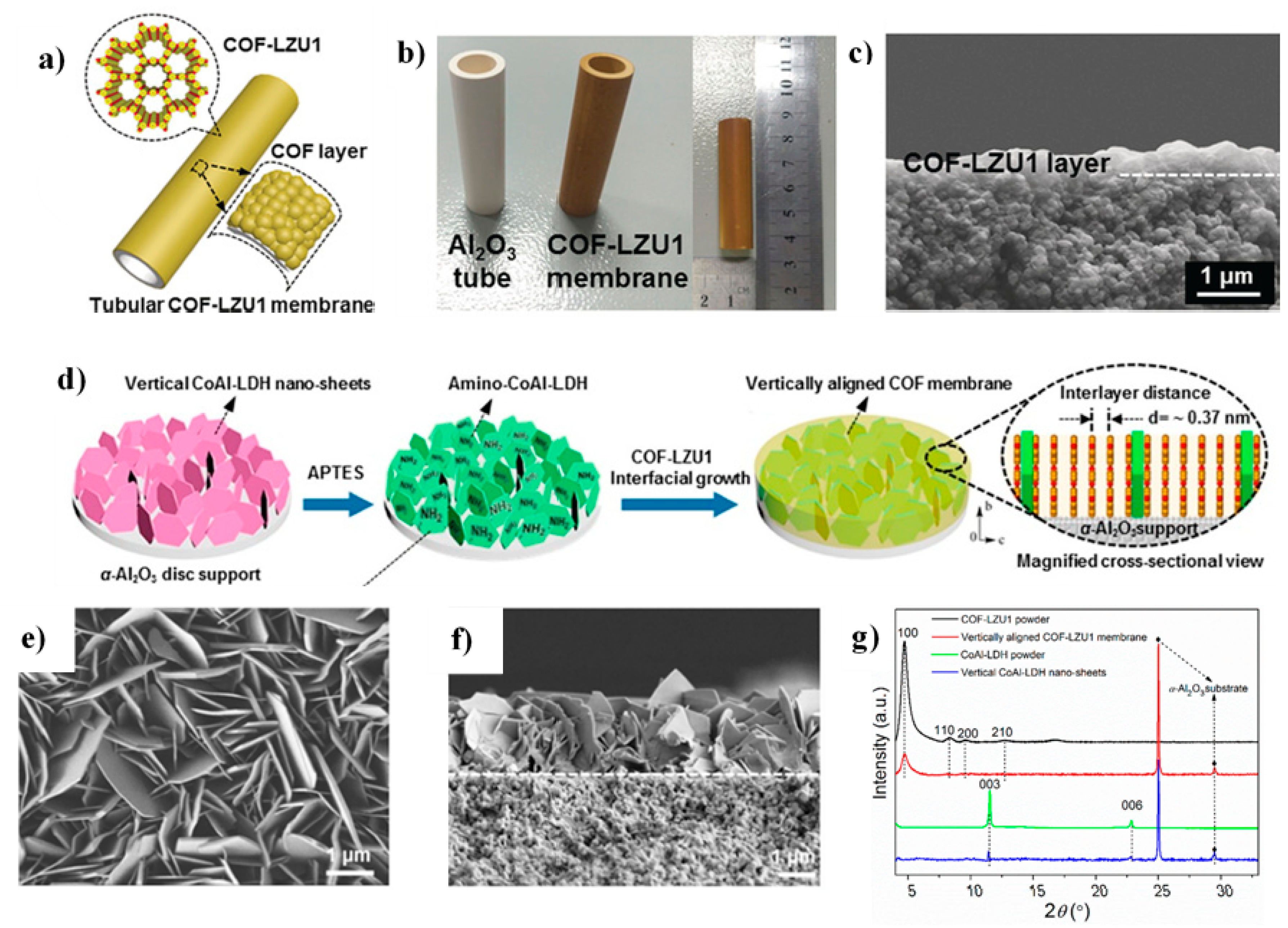 Molecules 25 05404 g006 Molecules 25 05404 g006