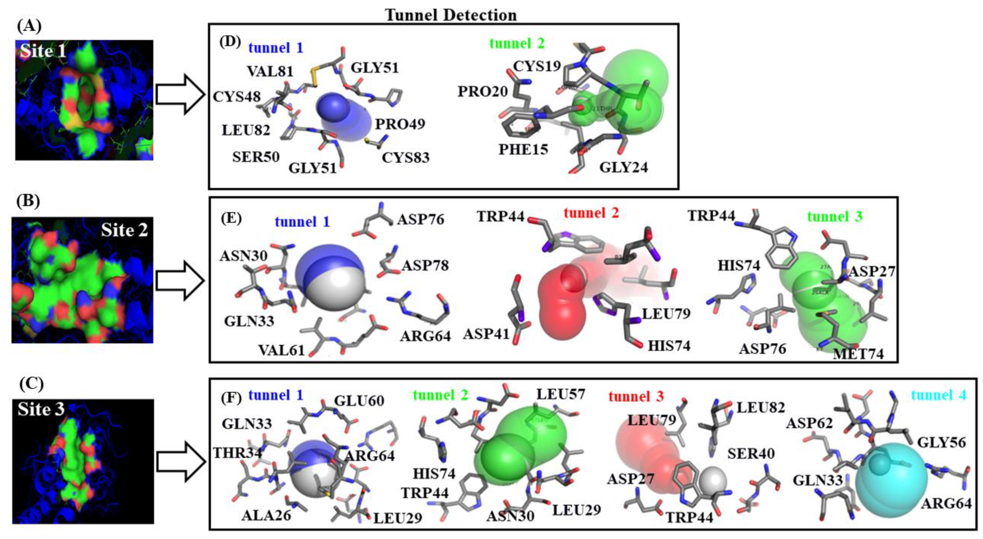 Molecules 25 05425 g003