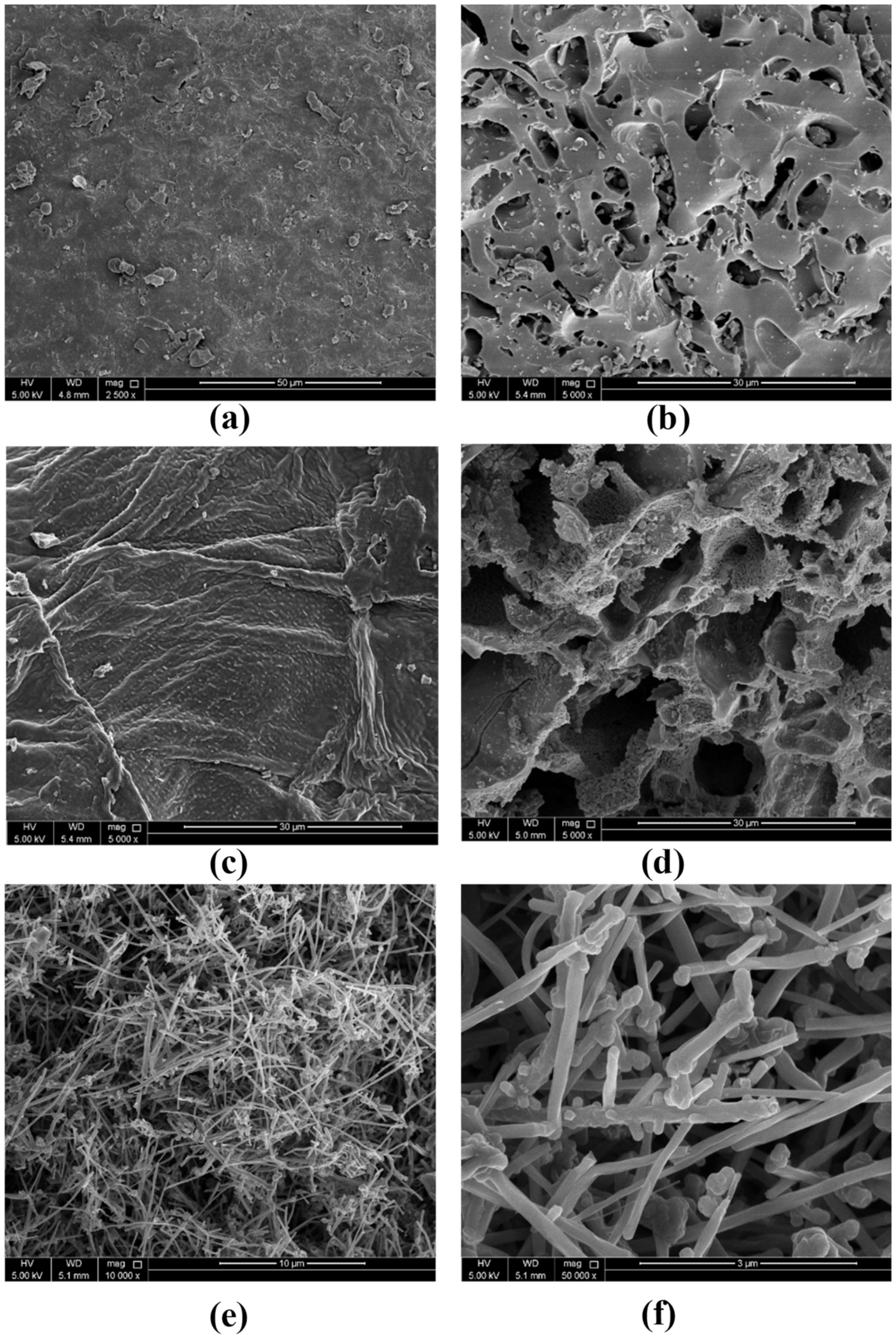 Molecules 25 05429 g009